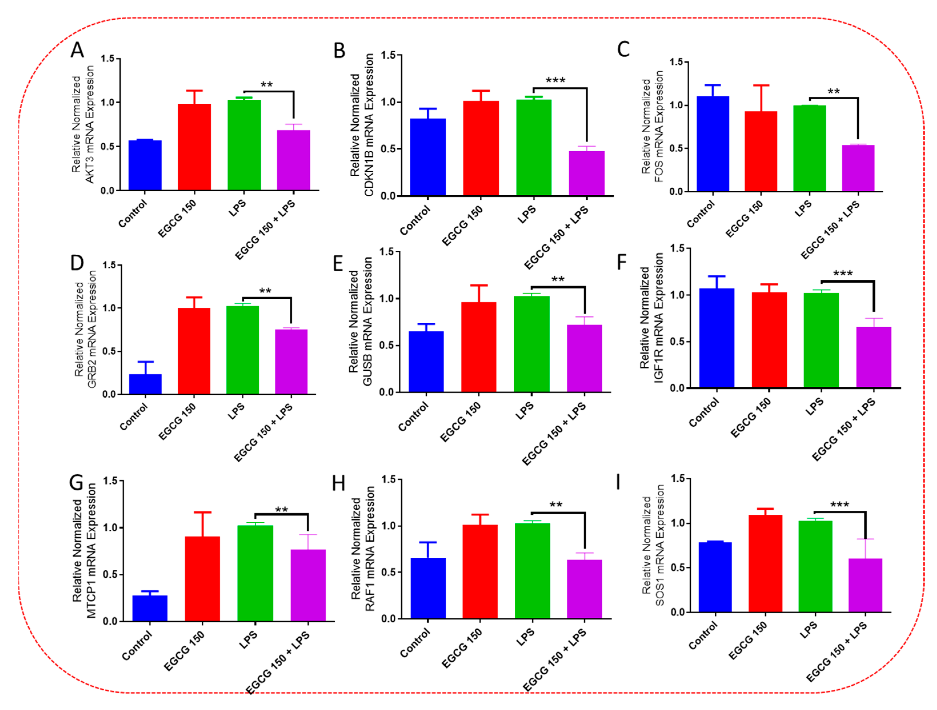 Brainsci 13 00632 g010