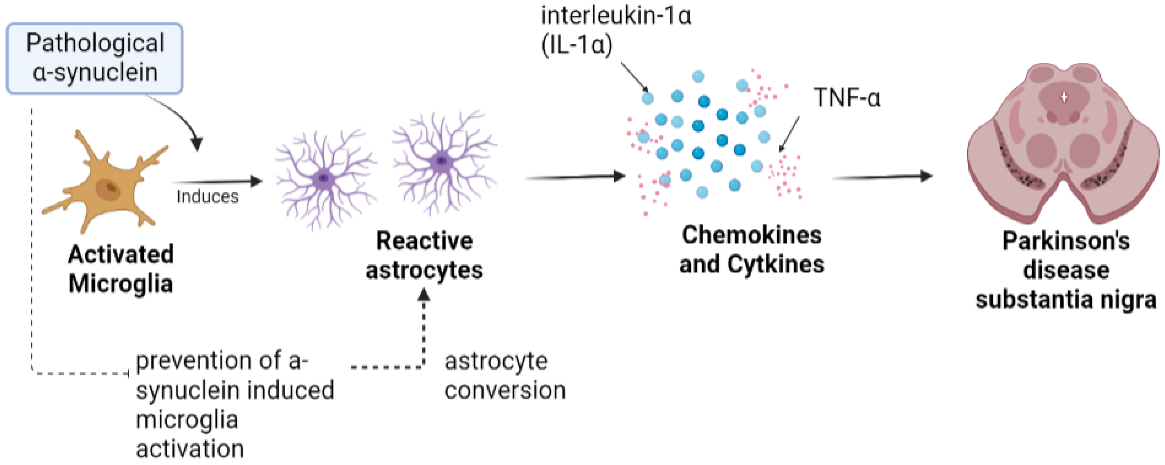 Brainsci 13 00634 g002