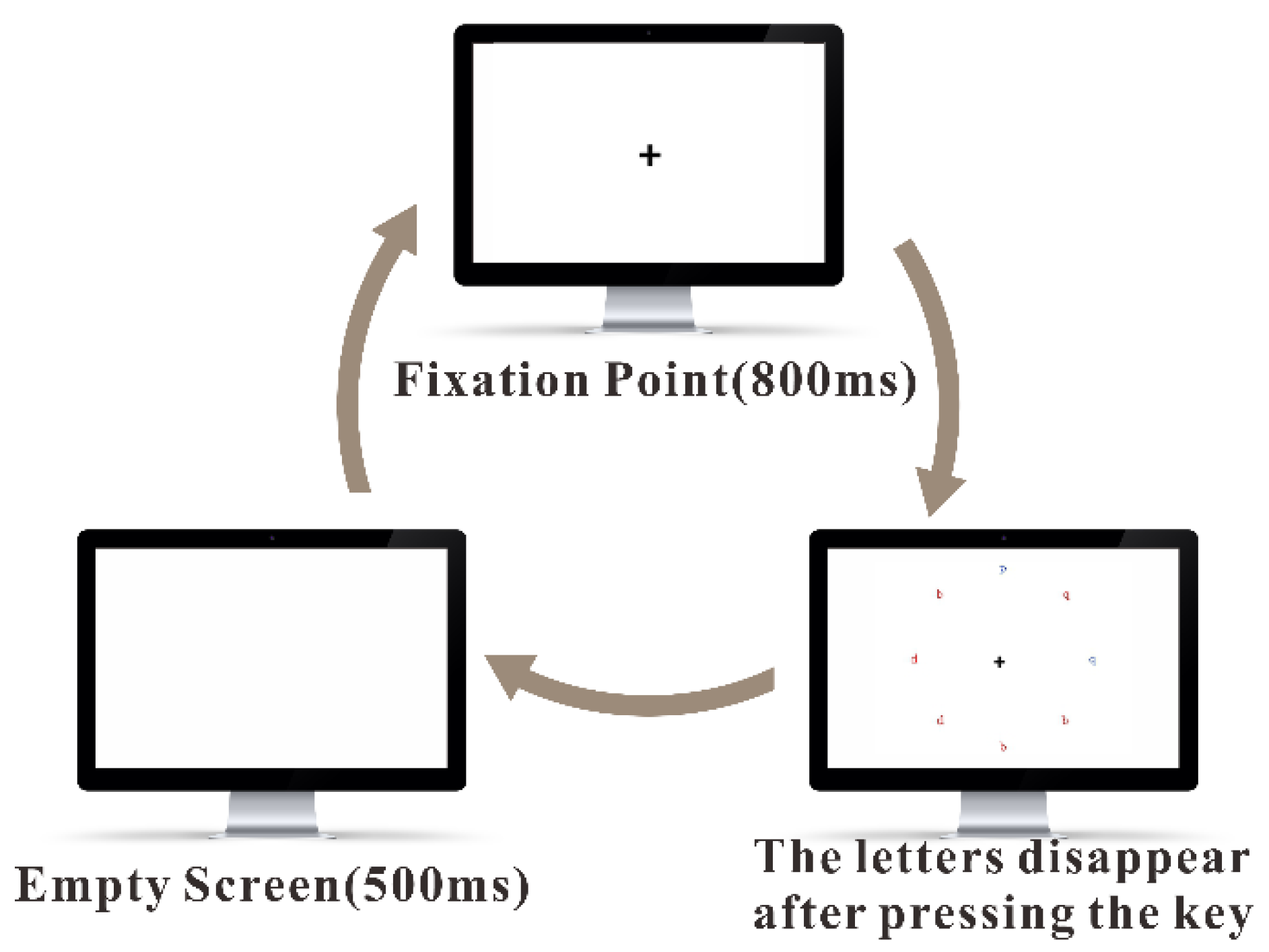 Brainsci 13 00638 g003