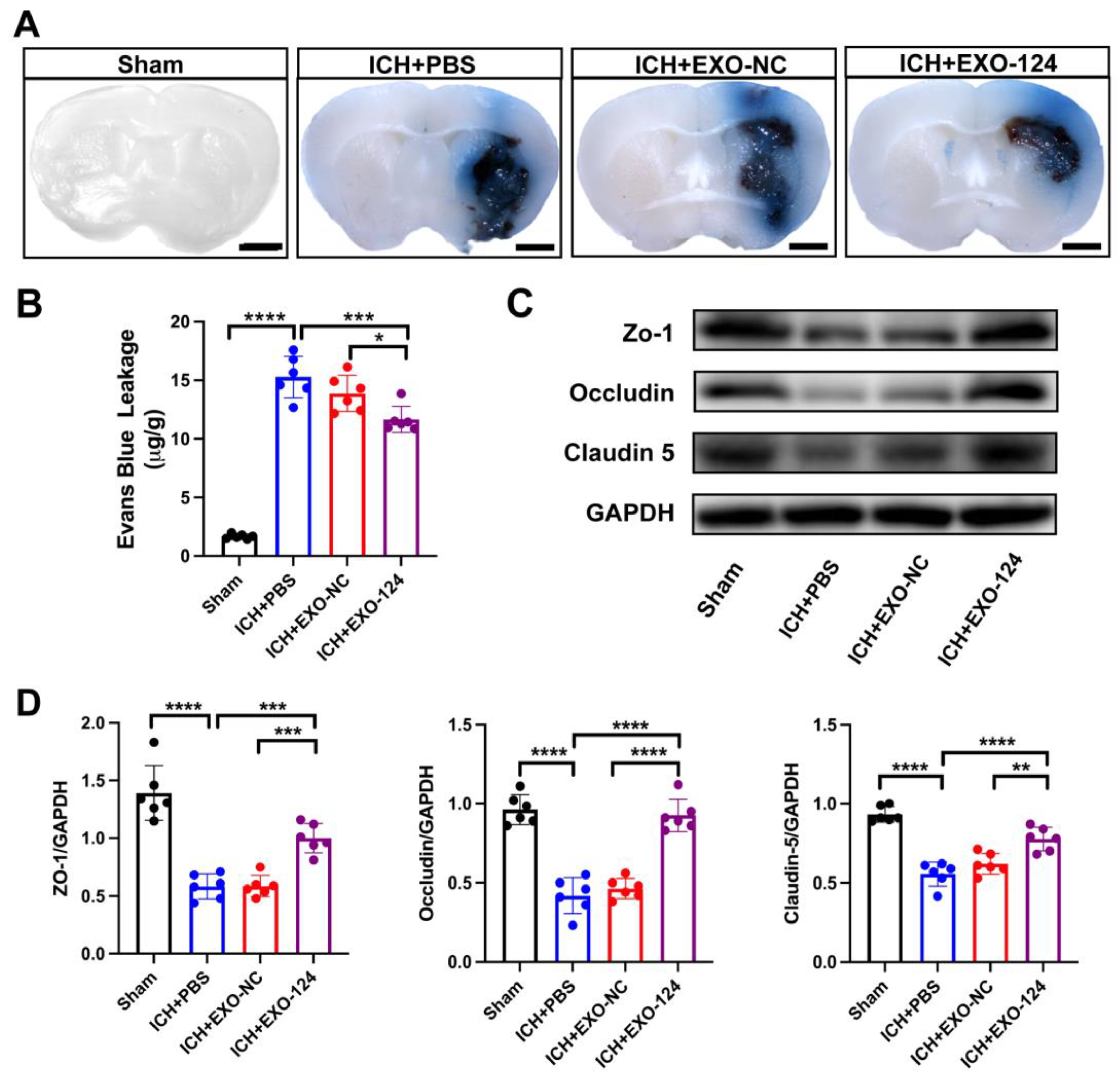 Brainsci 13 00639 g004