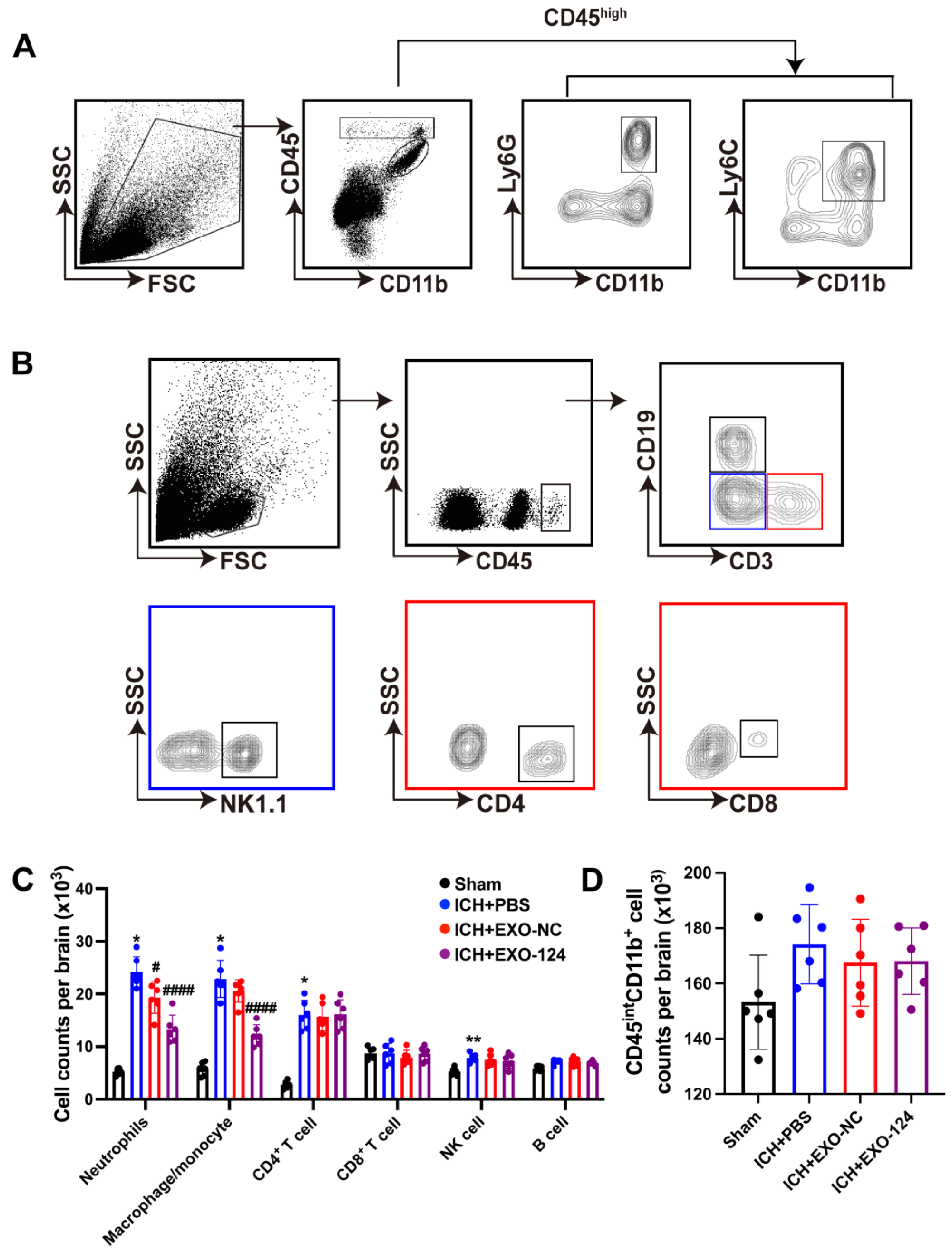Brainsci 13 00639 g006