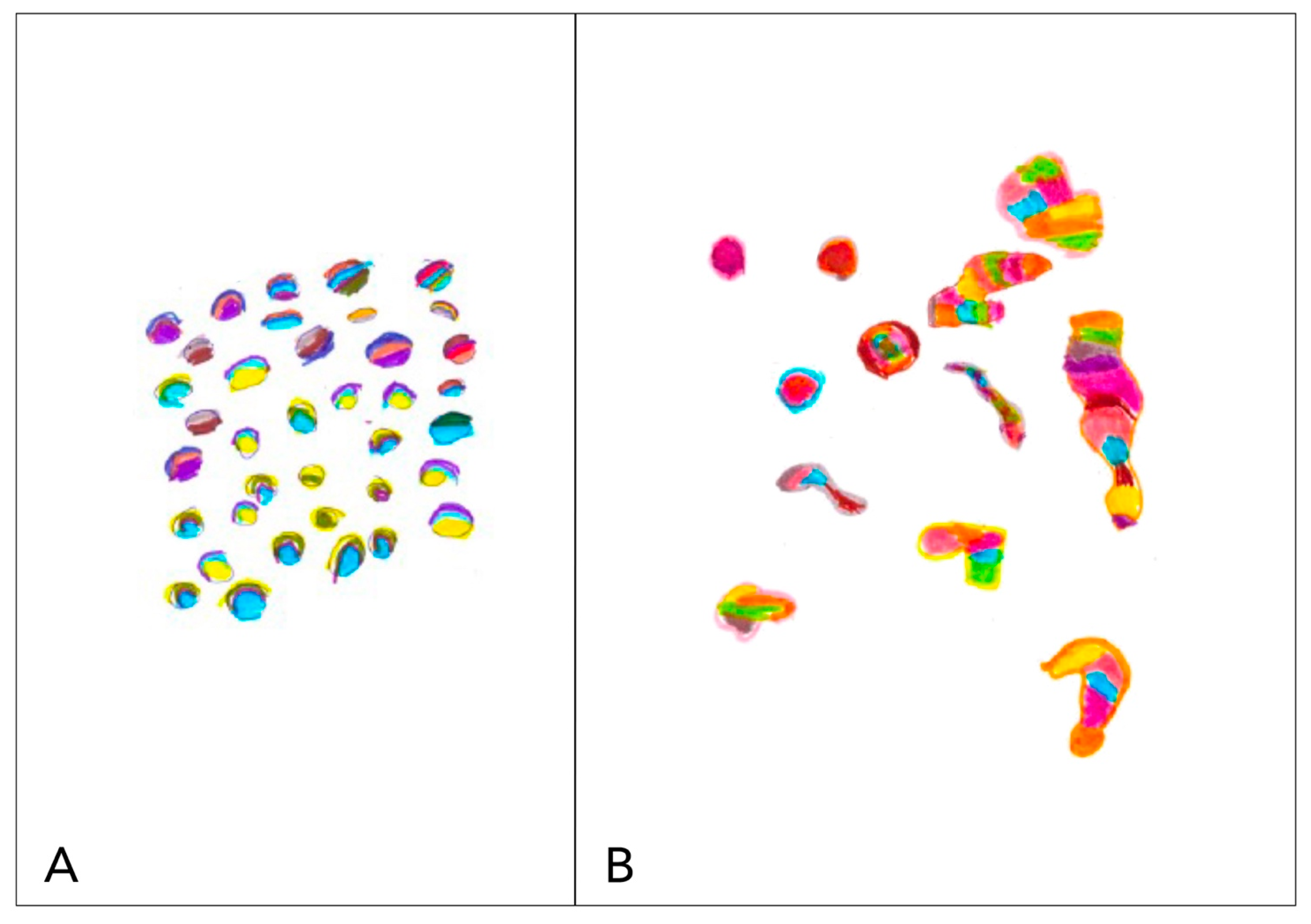 Brainsci 13 00643 g001