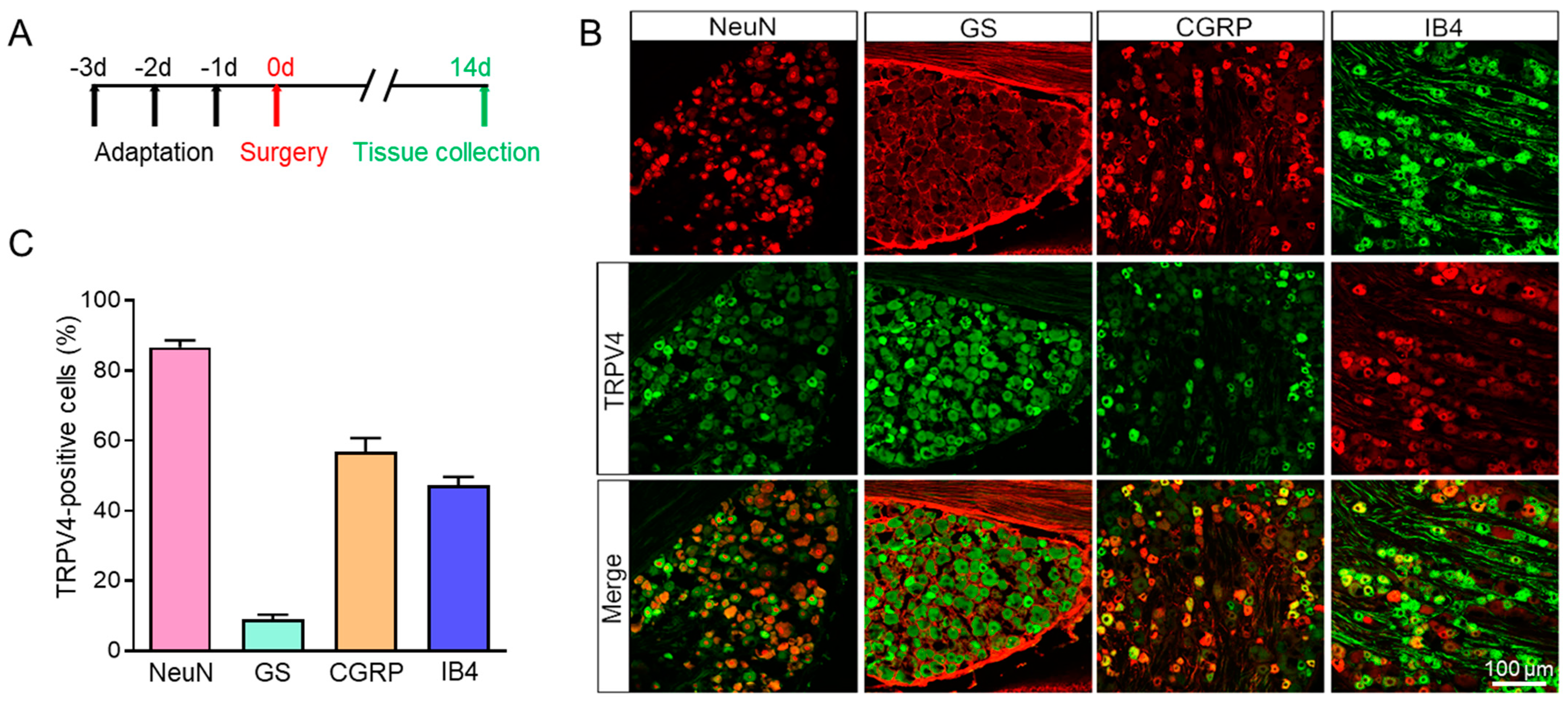 Brainsci 13 00644 g004