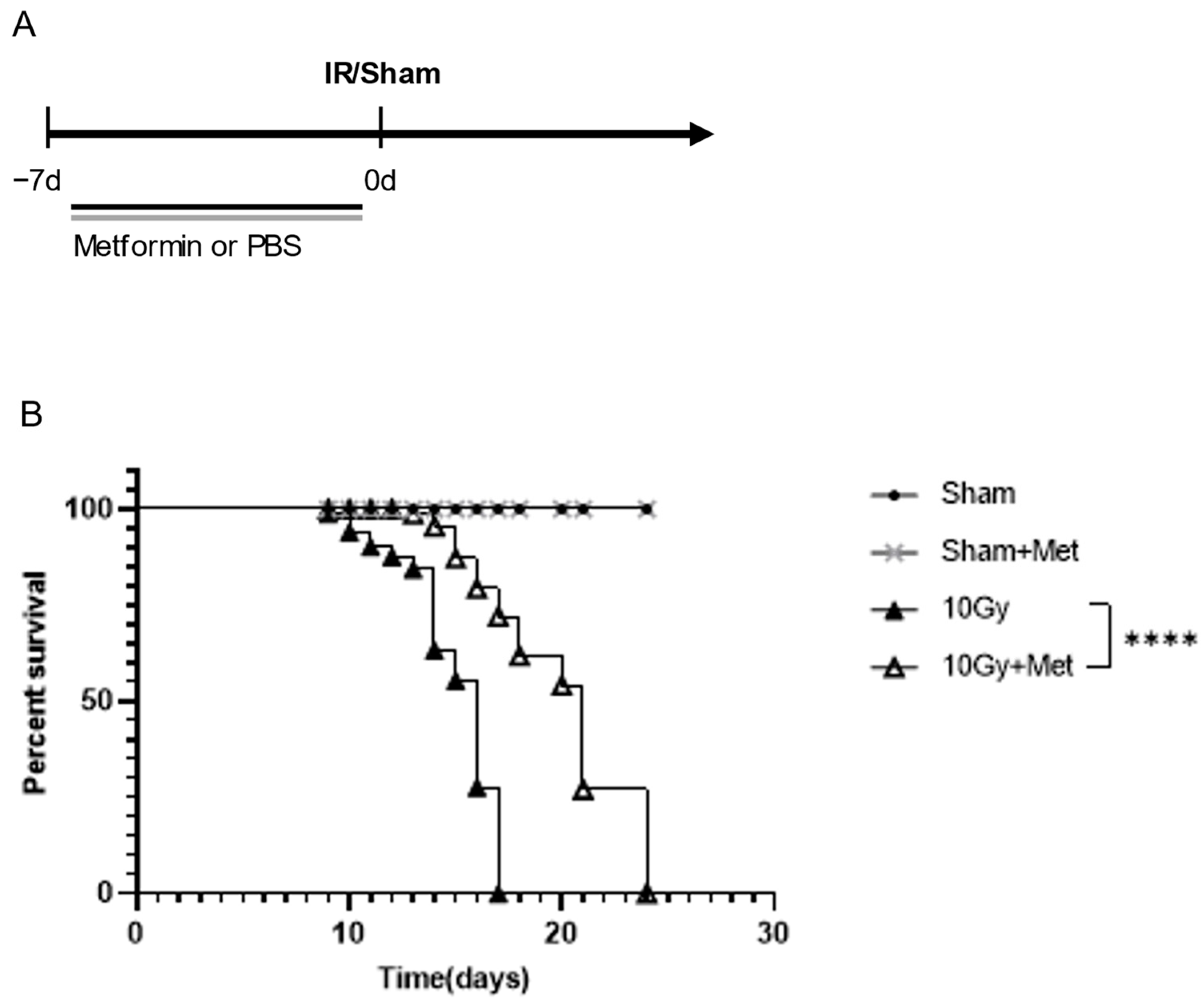 Brainsci 13 00645 g001