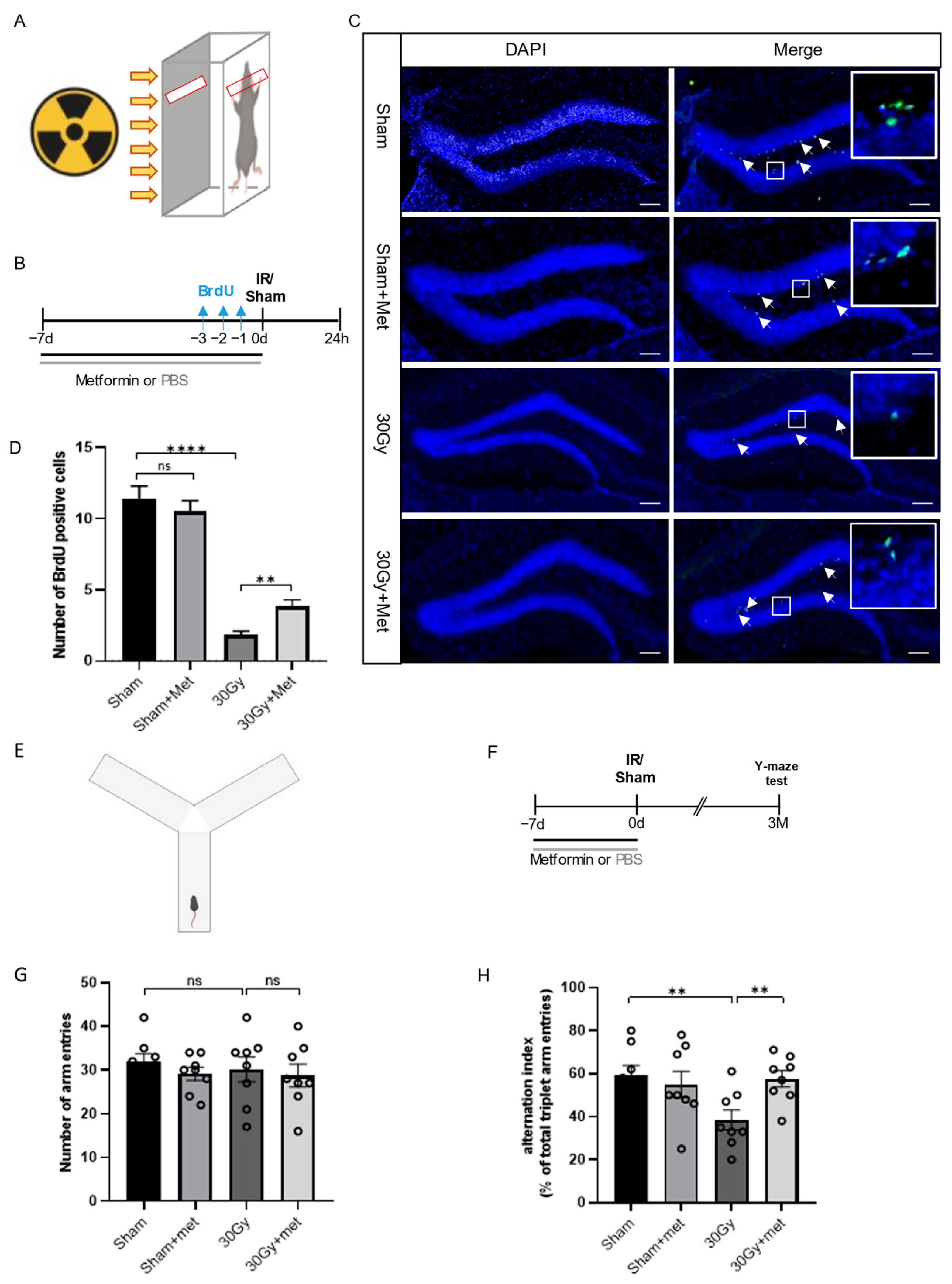 Brainsci 13 00645 g002