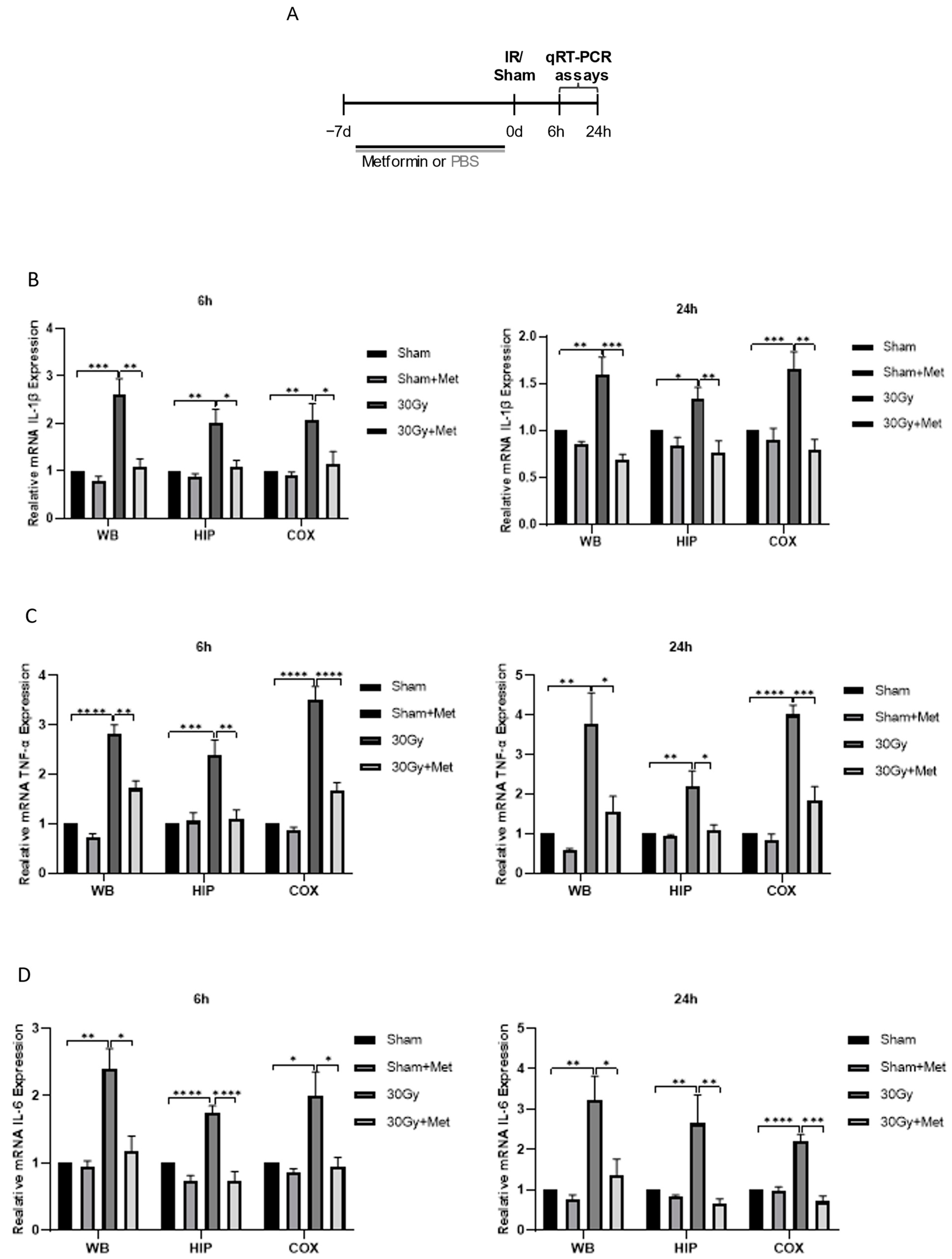 Brainsci 13 00645 g003