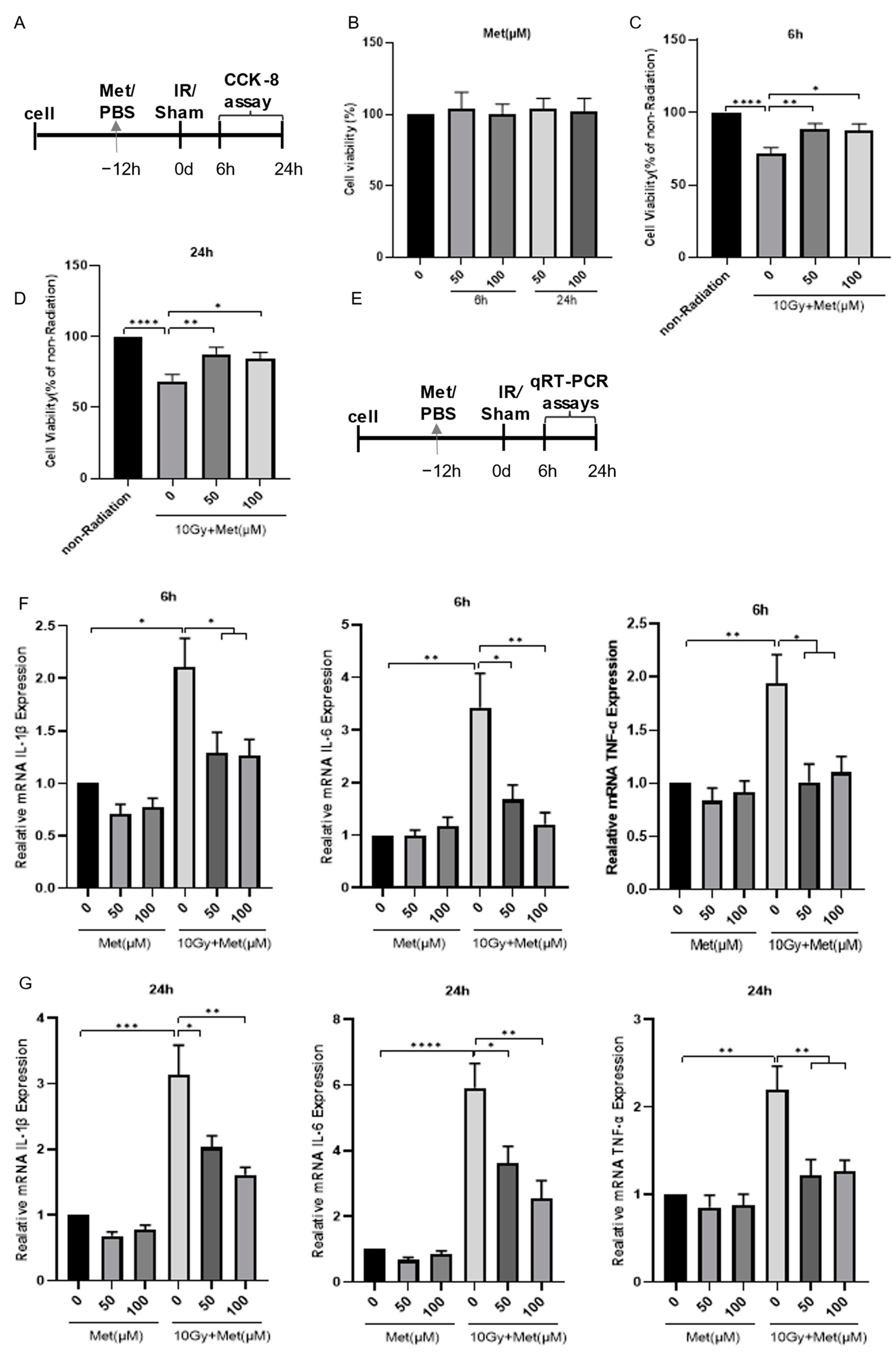 Brainsci 13 00645 g004