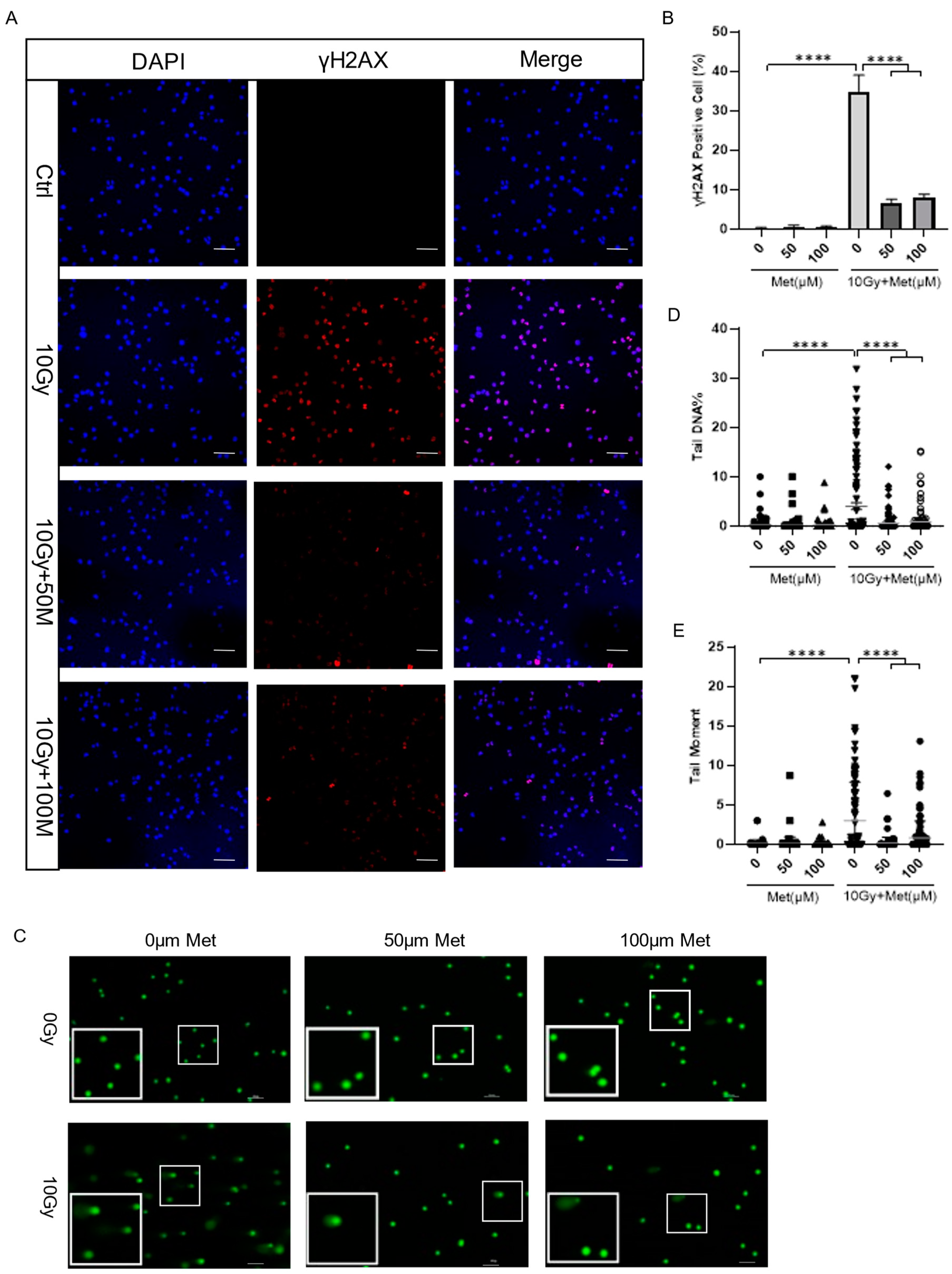 Brainsci 13 00645 g005