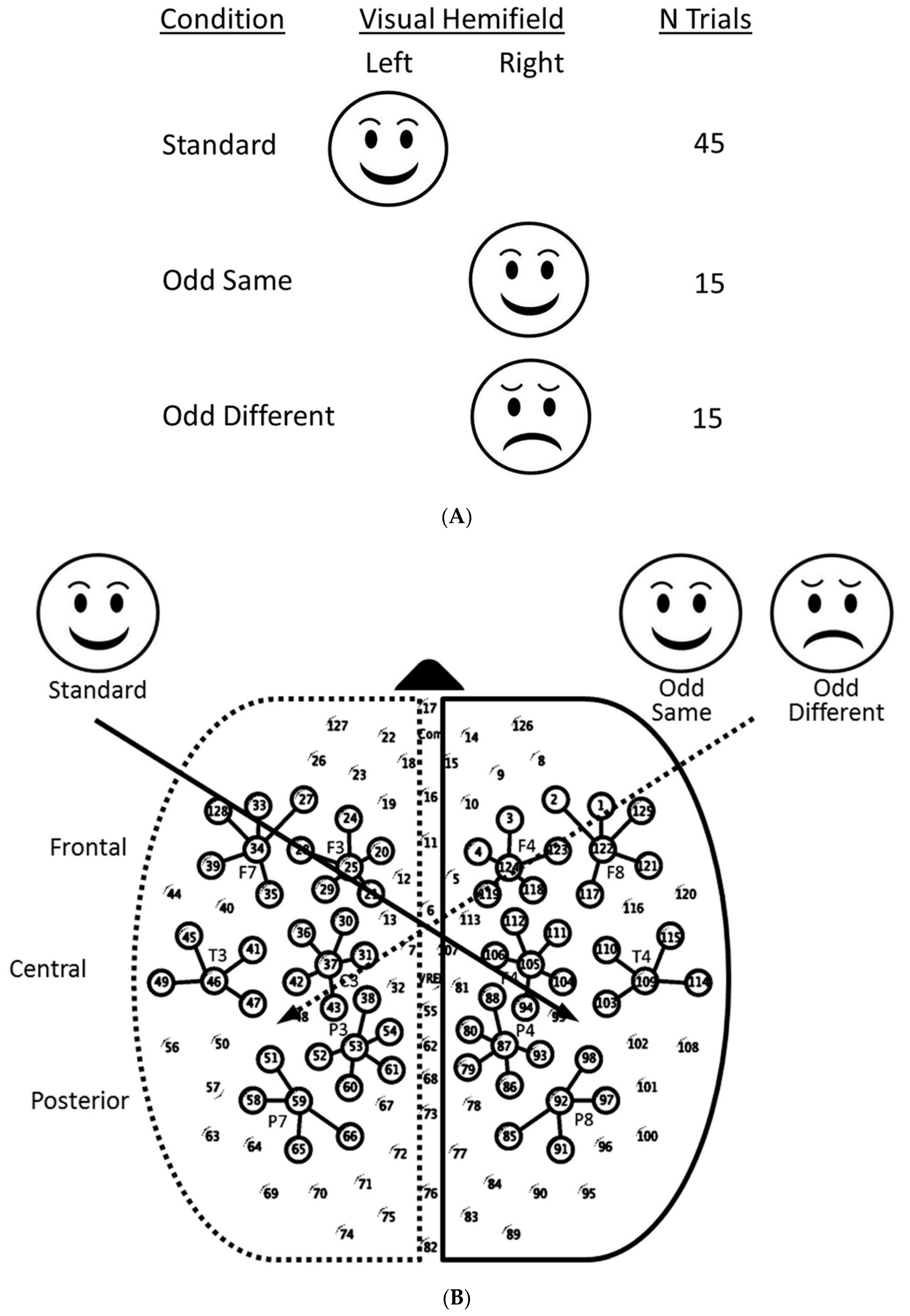 Brainsci 13 00647 g001