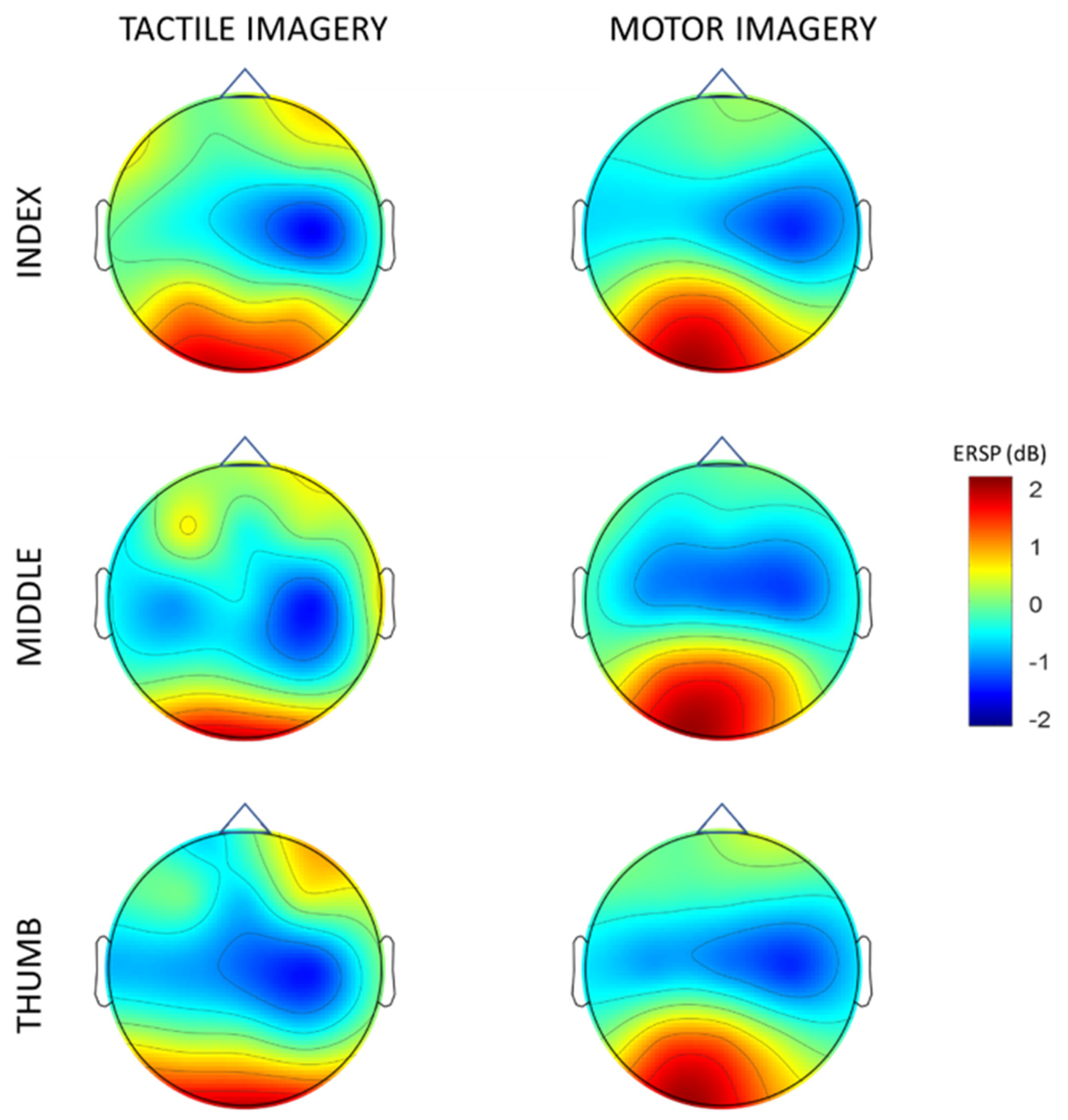 Brainsci 13 00656 g003