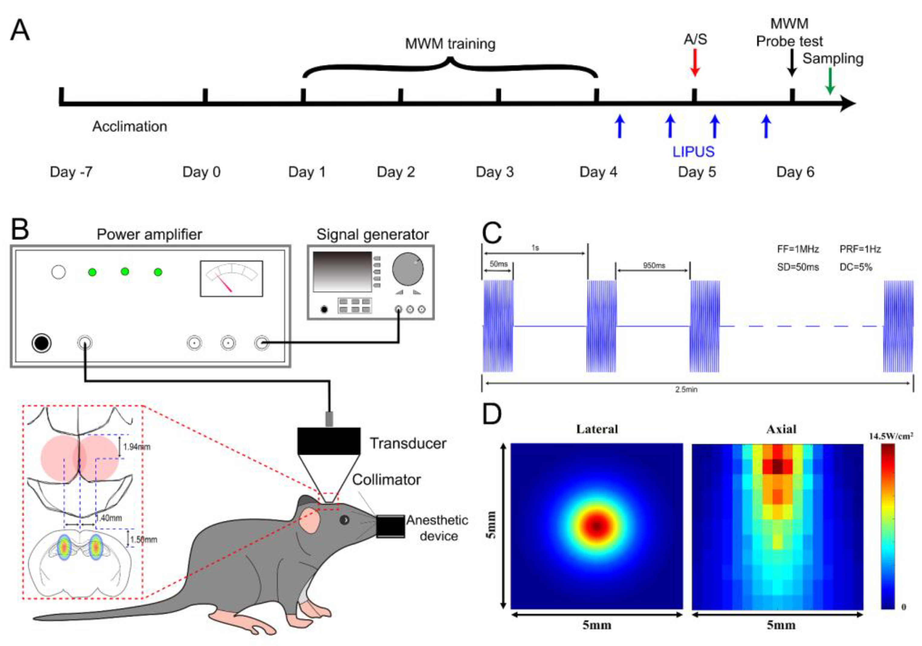 Brainsci 13 00657 g001