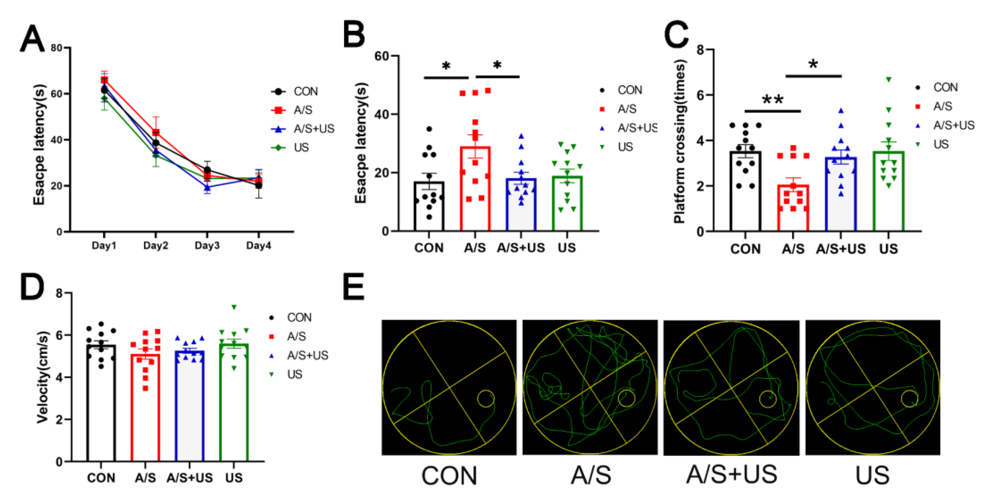 Brainsci 13 00657 g003