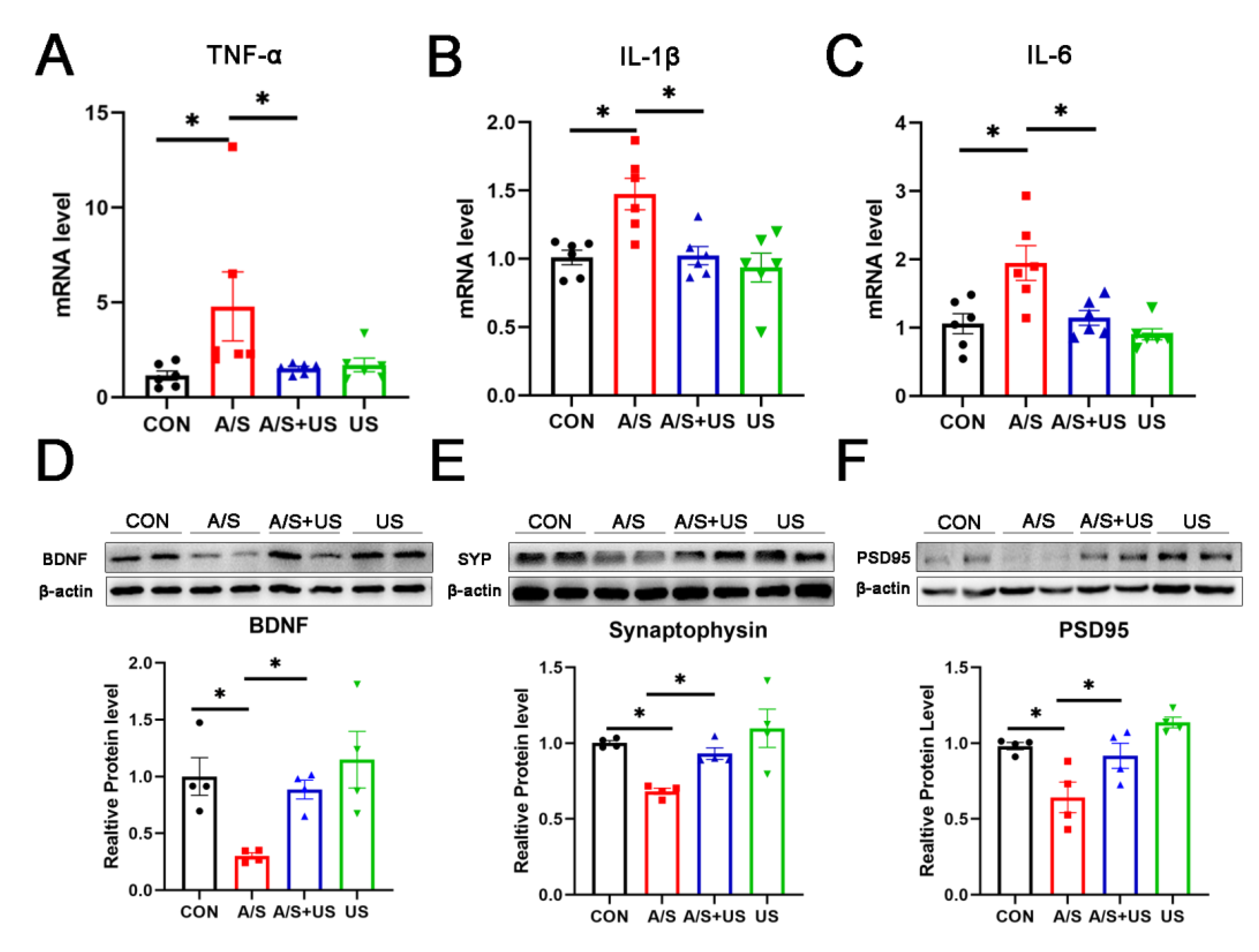 Brainsci 13 00657 g004