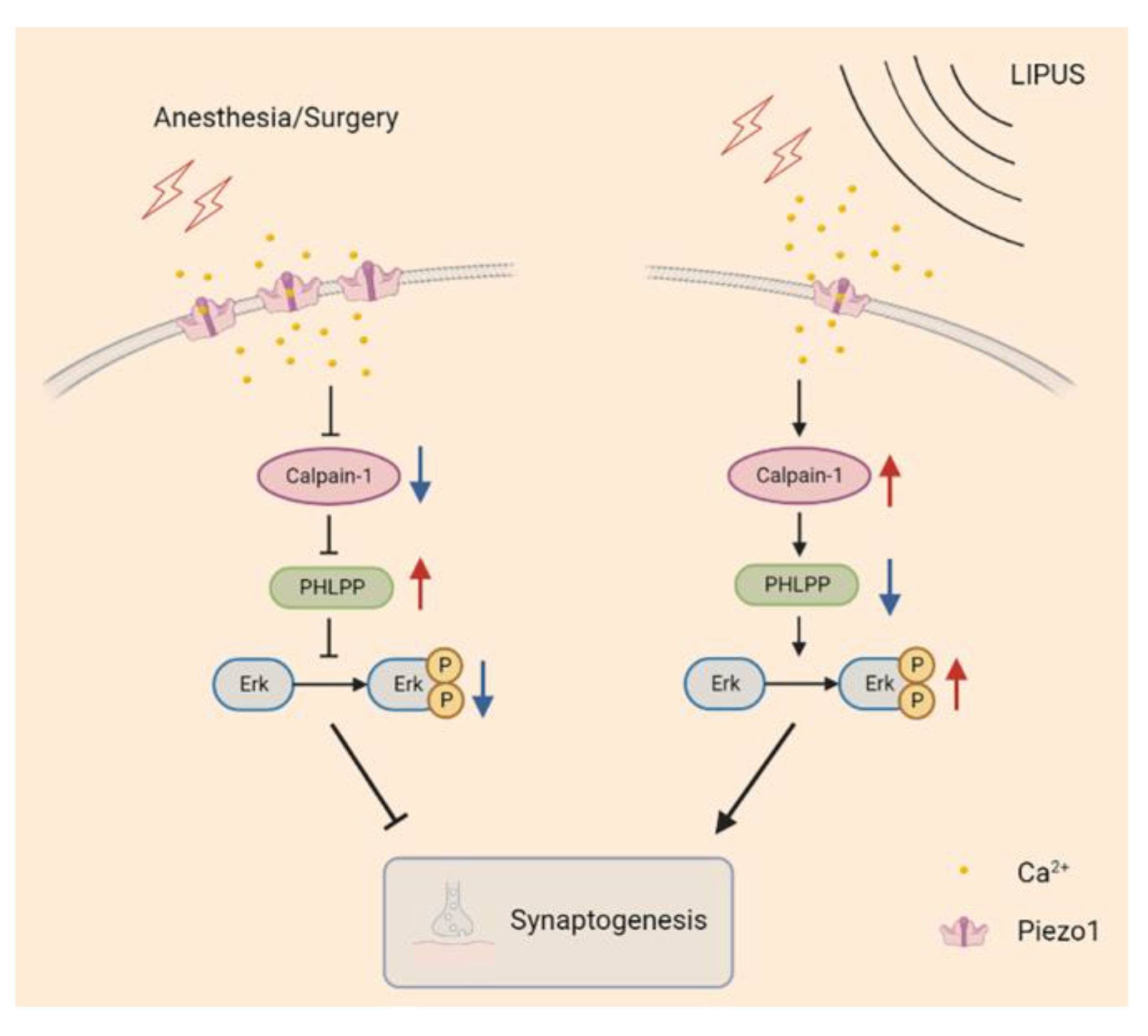 Brainsci 13 00657 g007