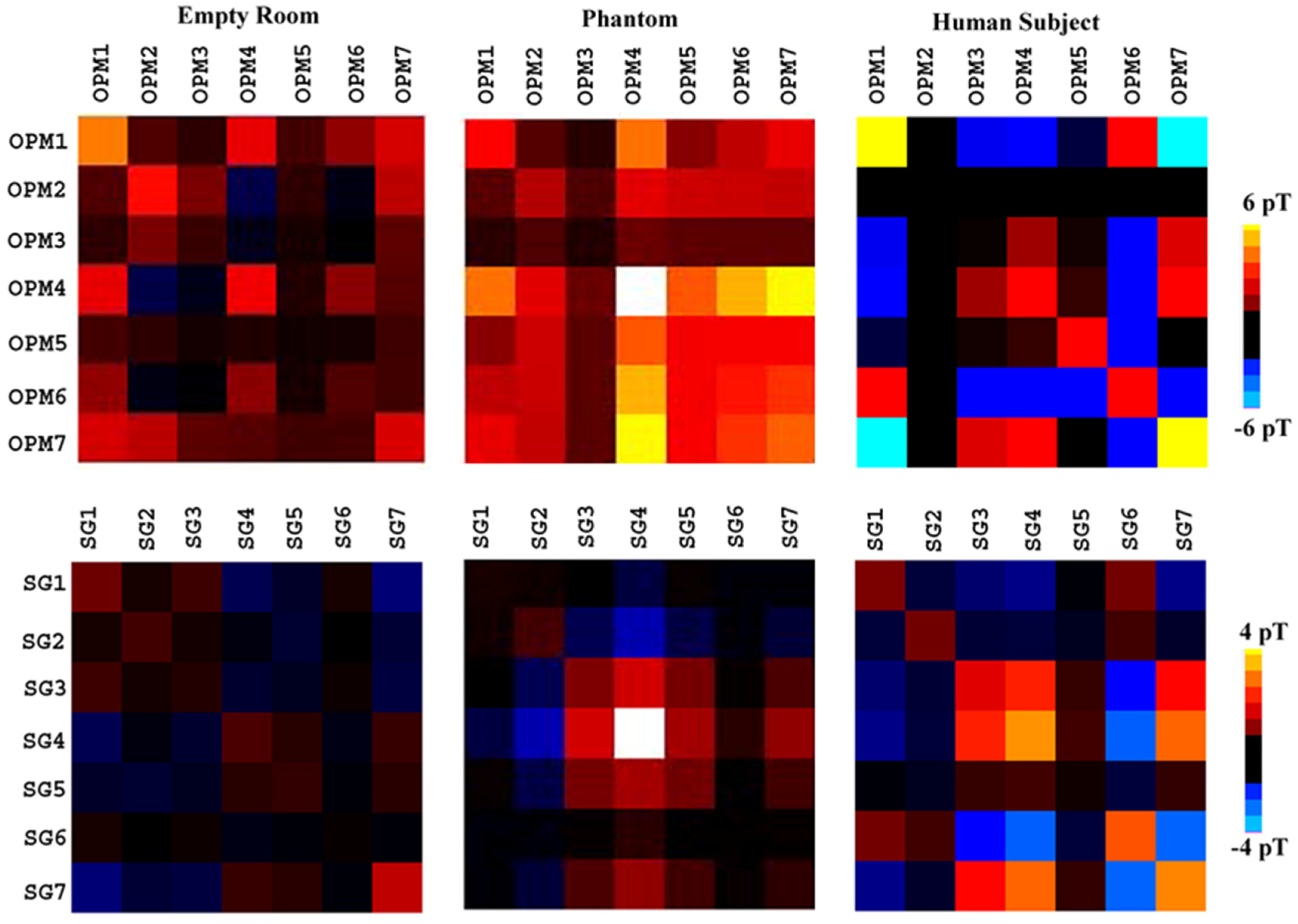 Brainsci 13 00663 g006