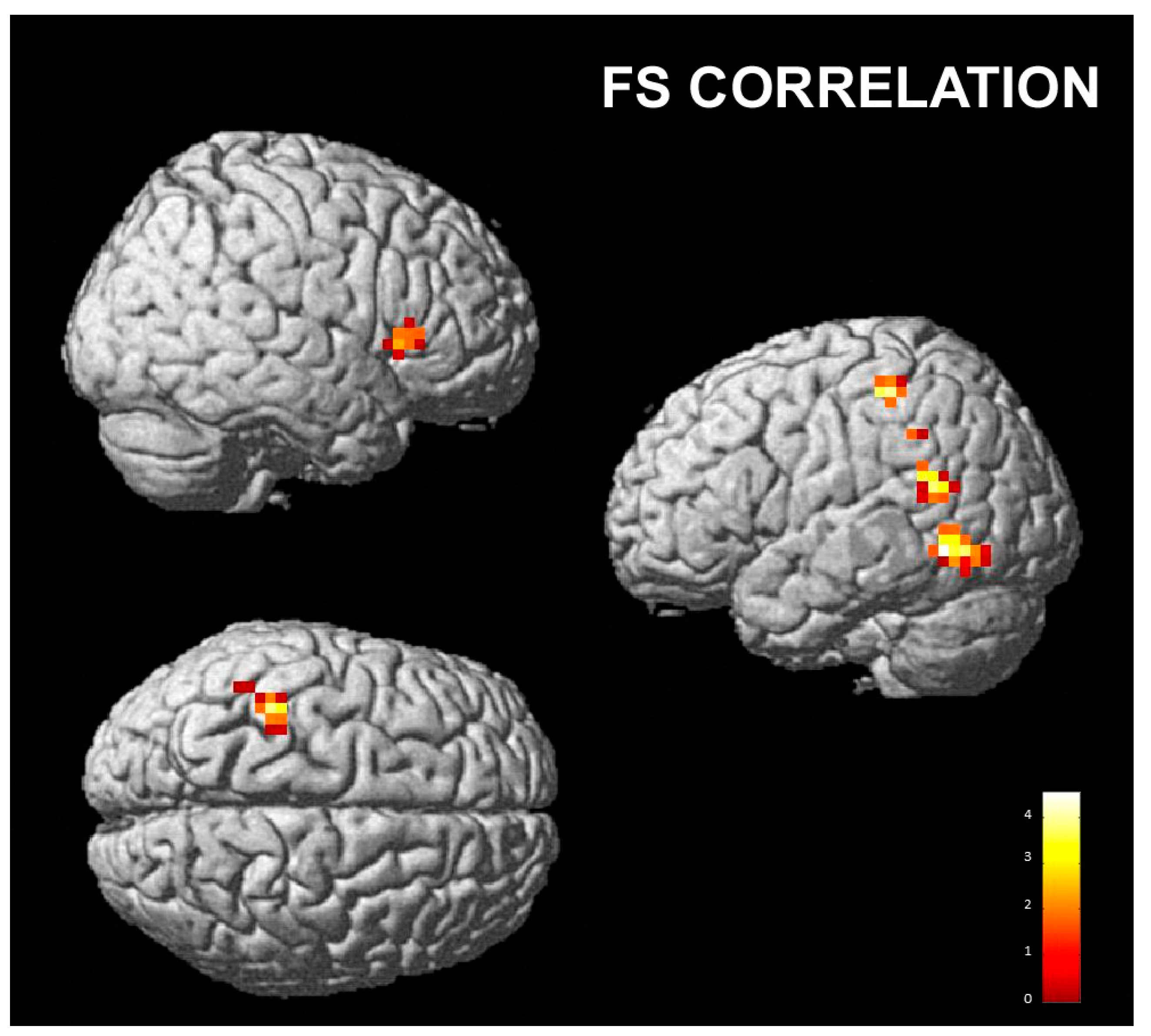 Brainsci 13 00668 g005