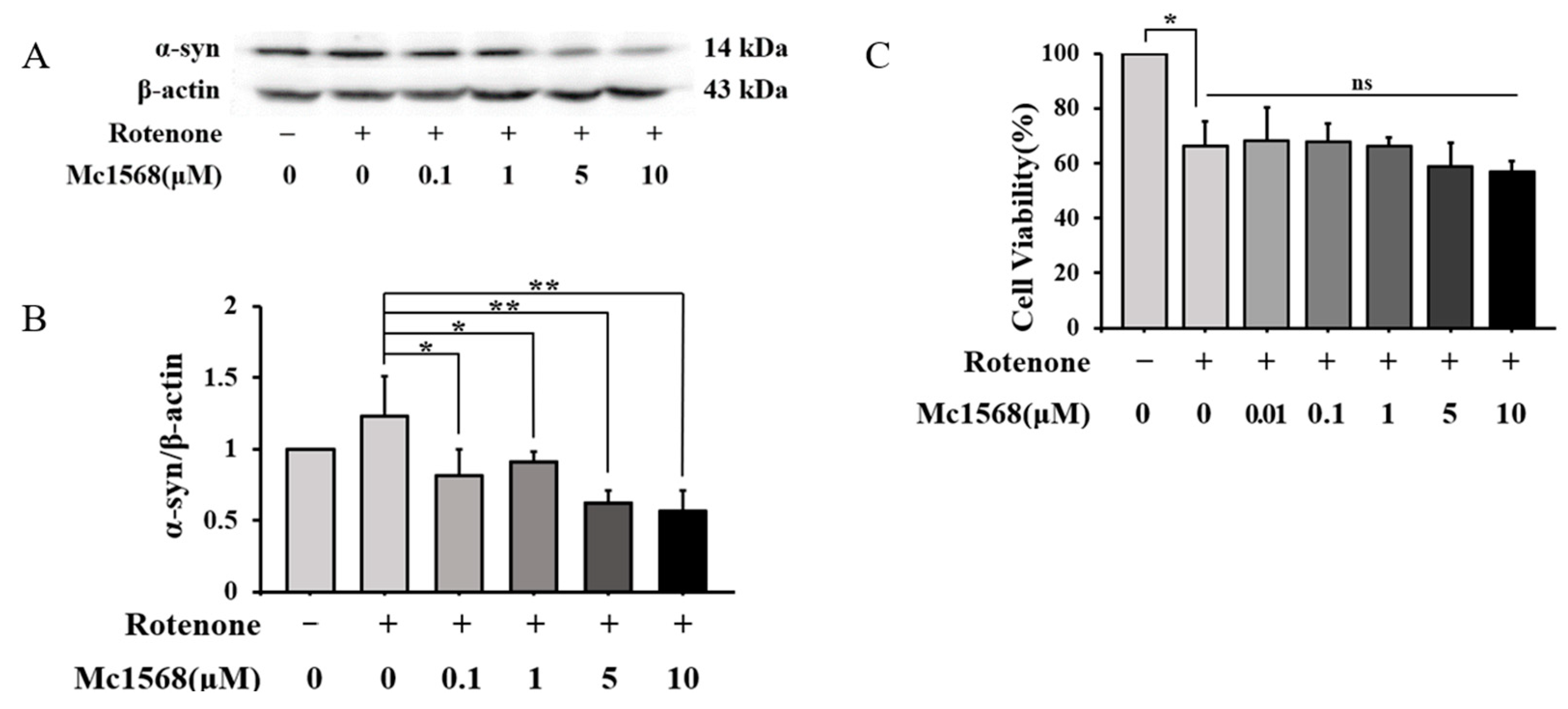 Brainsci 13 00670 g002