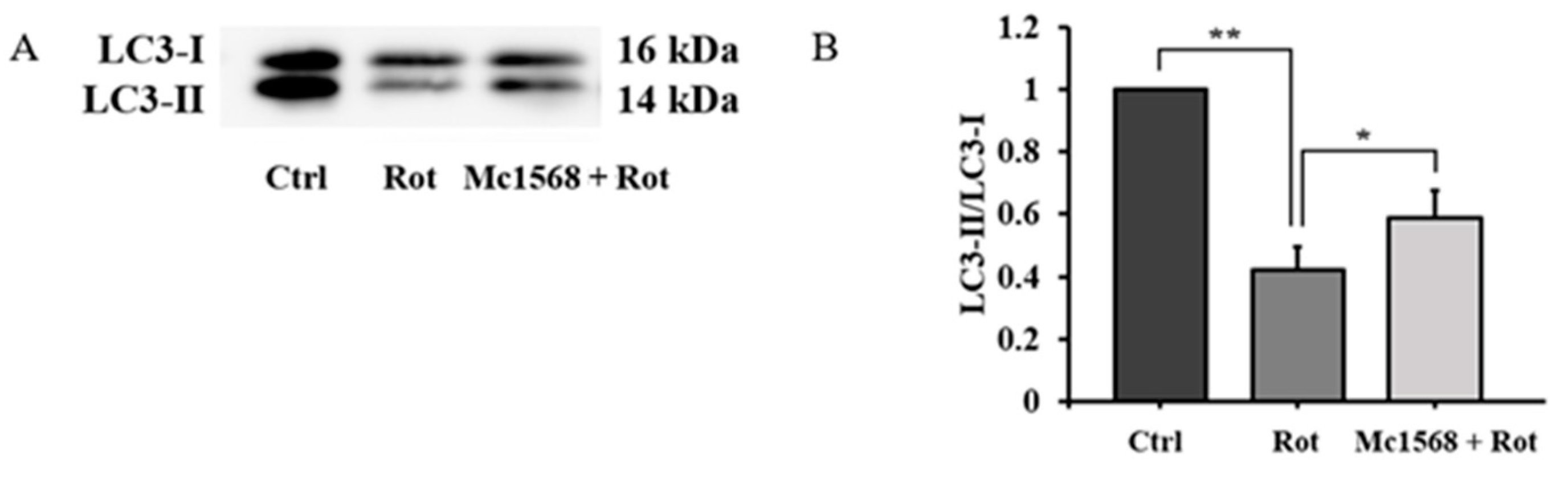 Brainsci 13 00670 g003