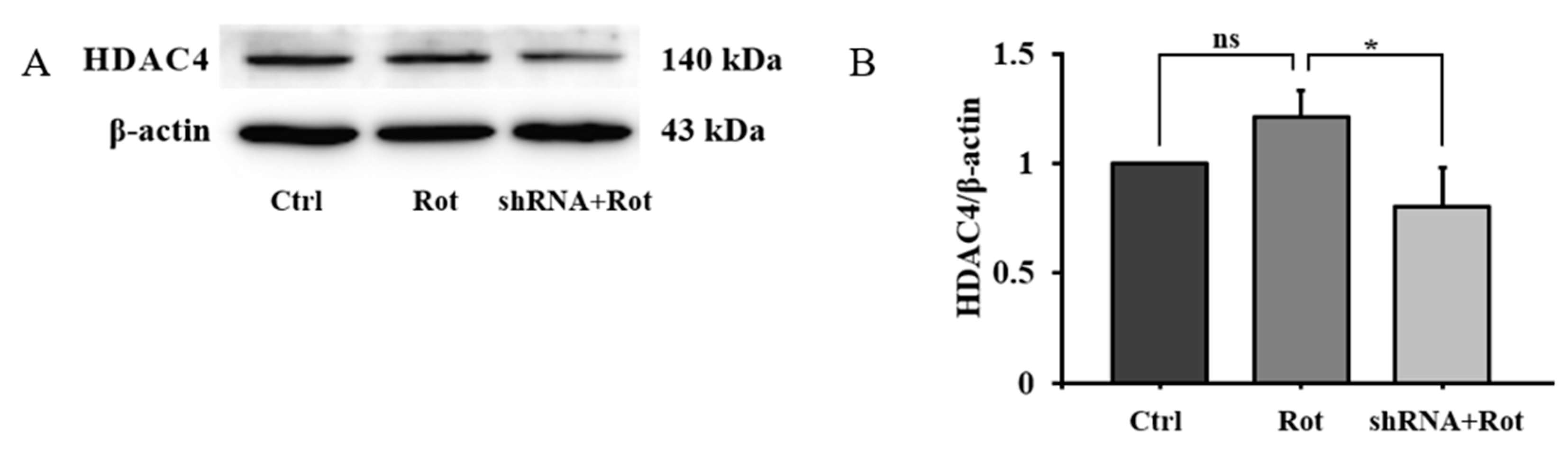 Brainsci 13 00670 g004