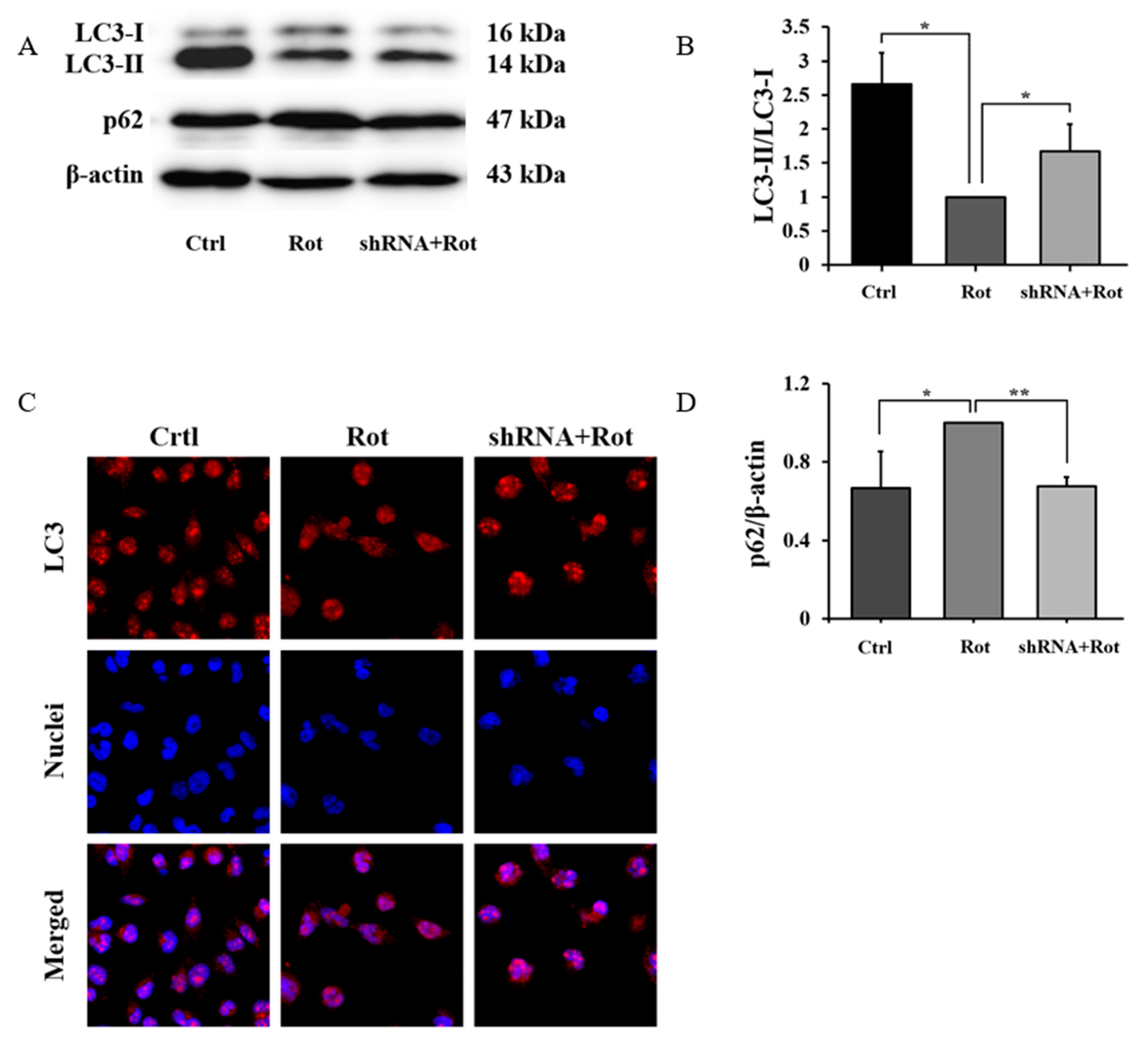 Brainsci 13 00670 g006