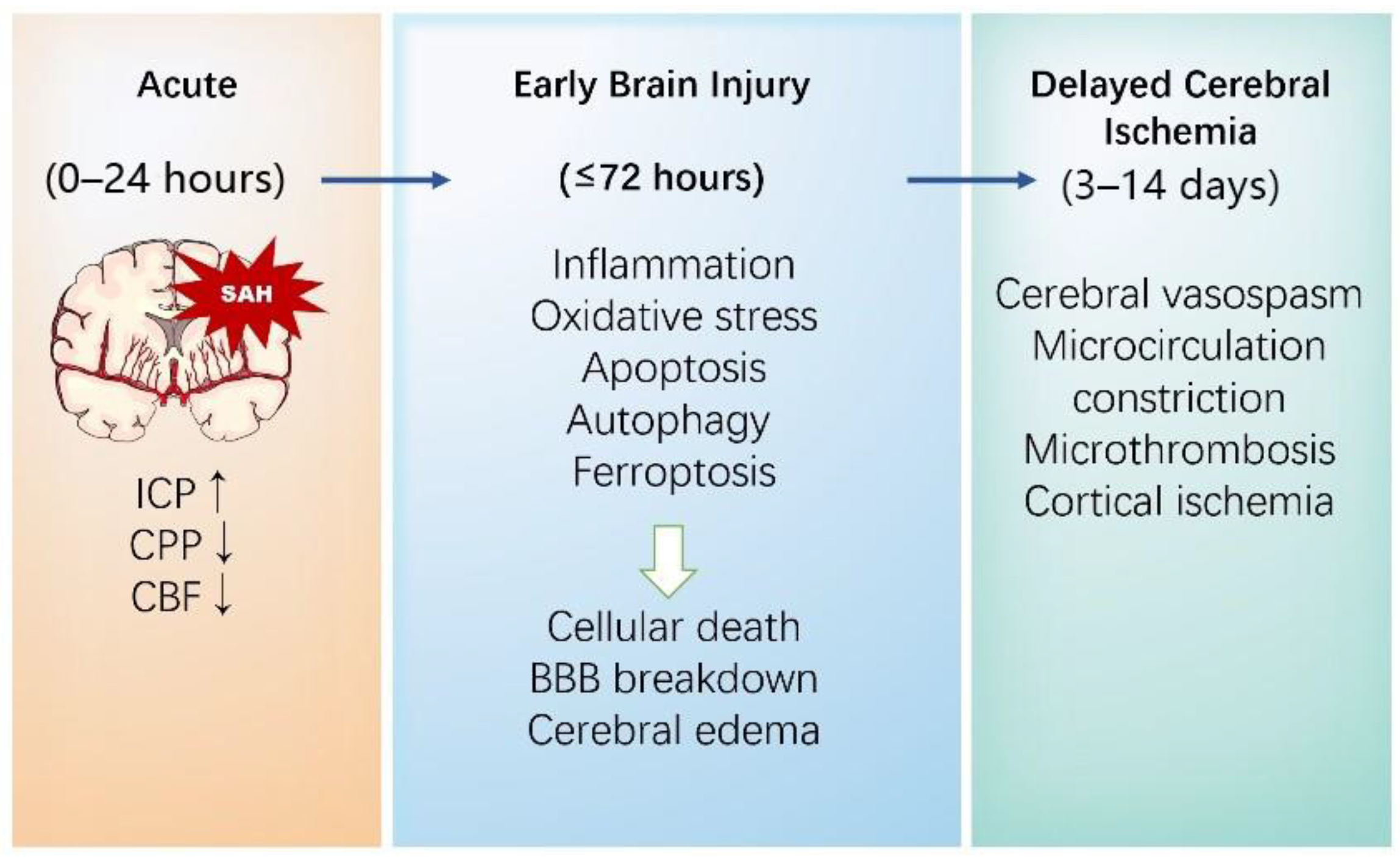 Brainsci 13 00674 g001 Brainsci 13 00674 g001