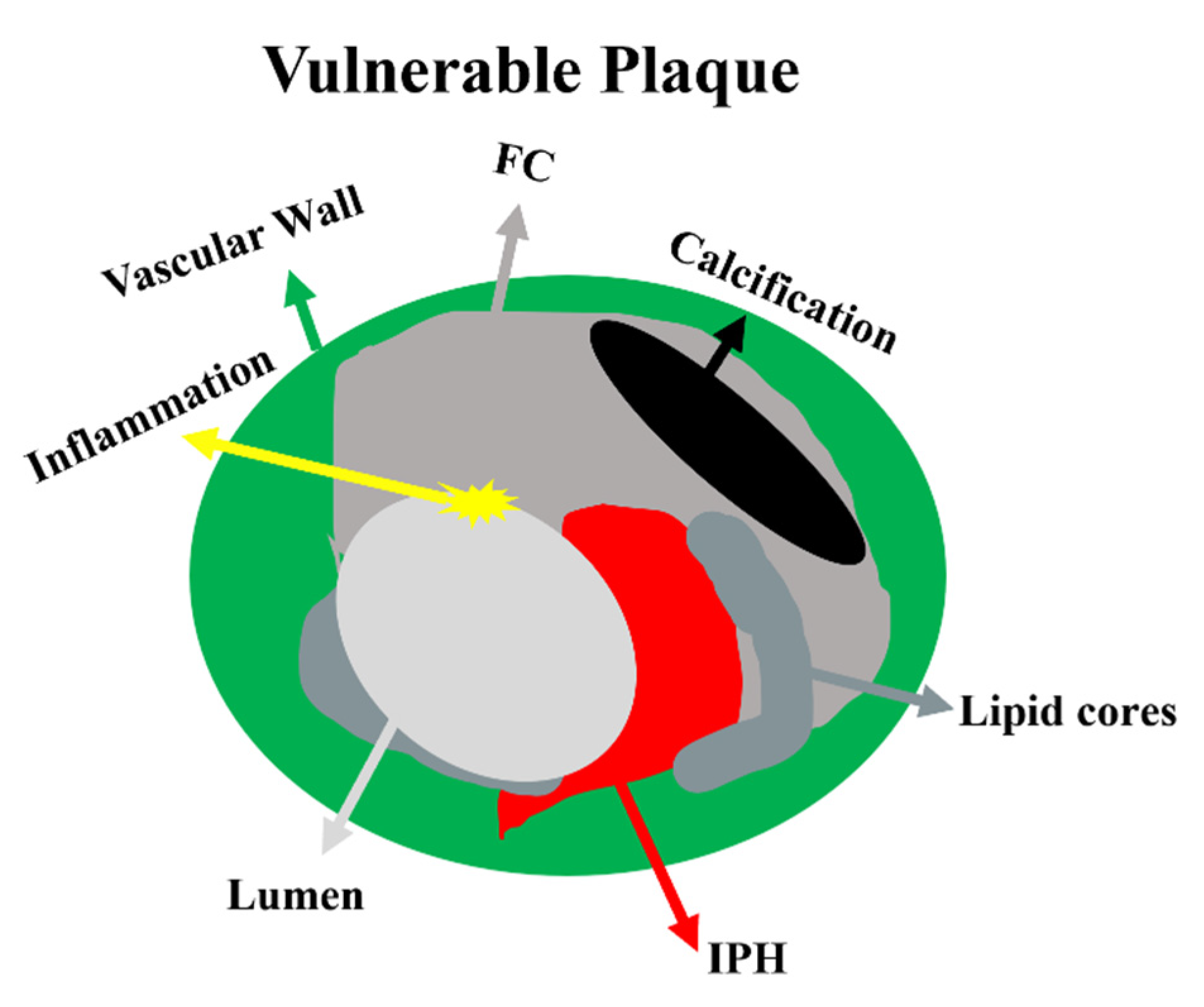 Brainsci 13 00677 g001