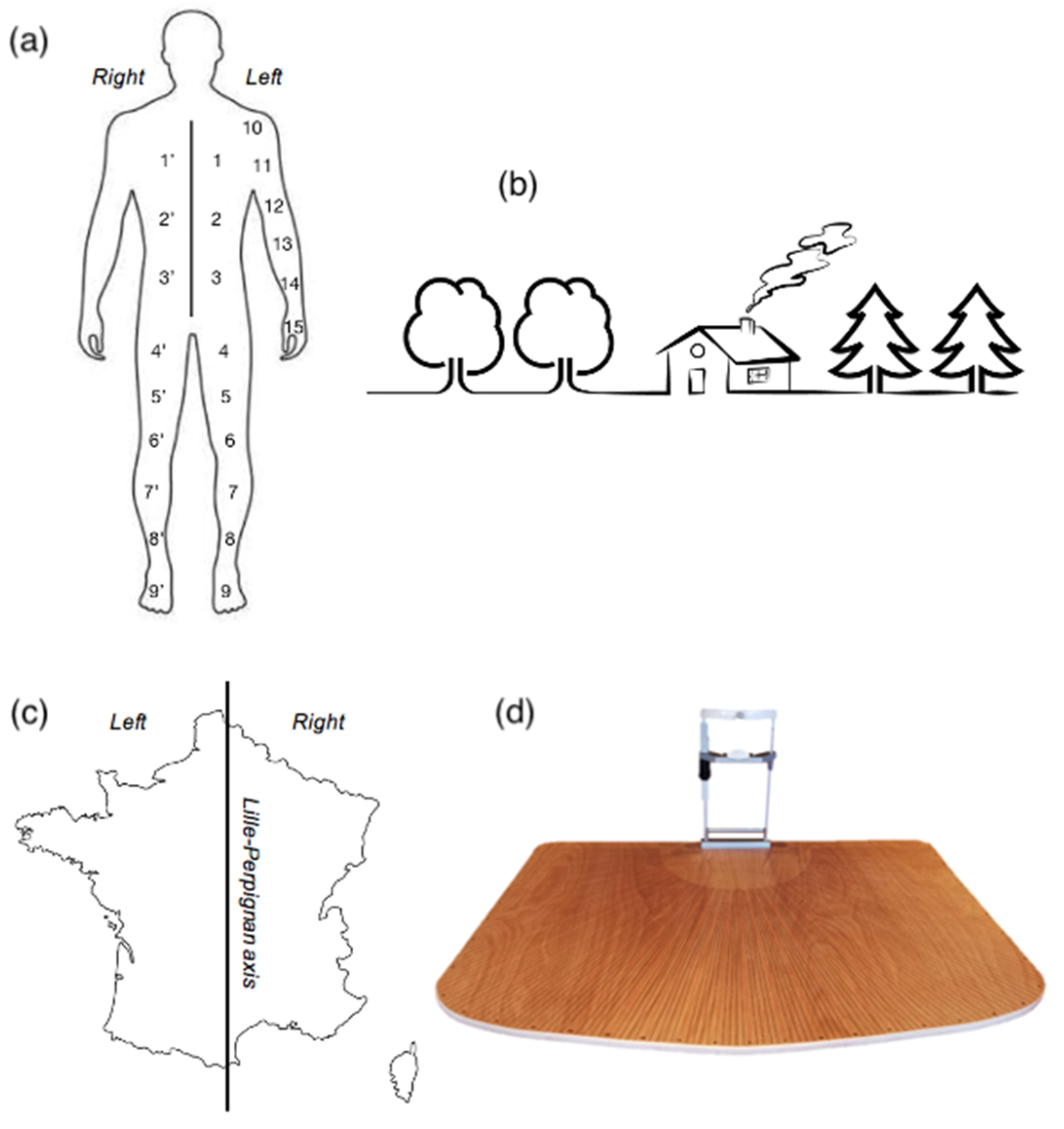 Brainsci 13 00678 g002