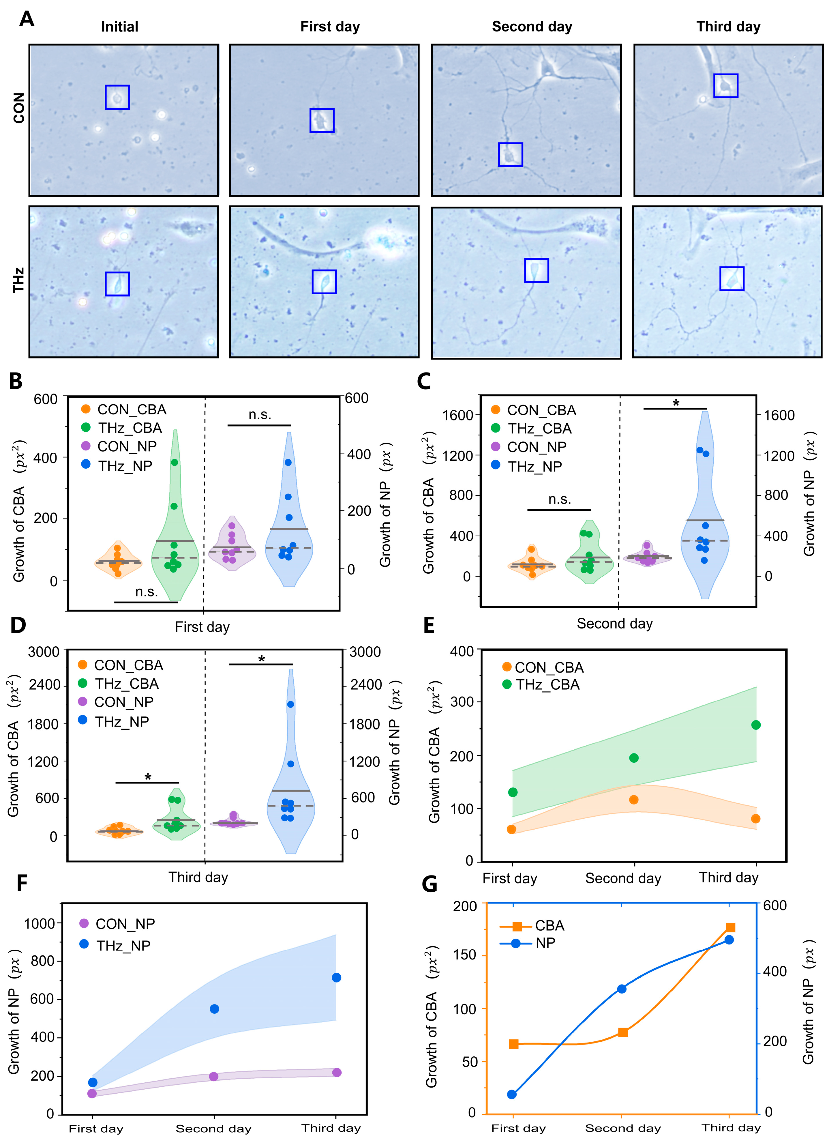 Brainsci 13 00686 g002