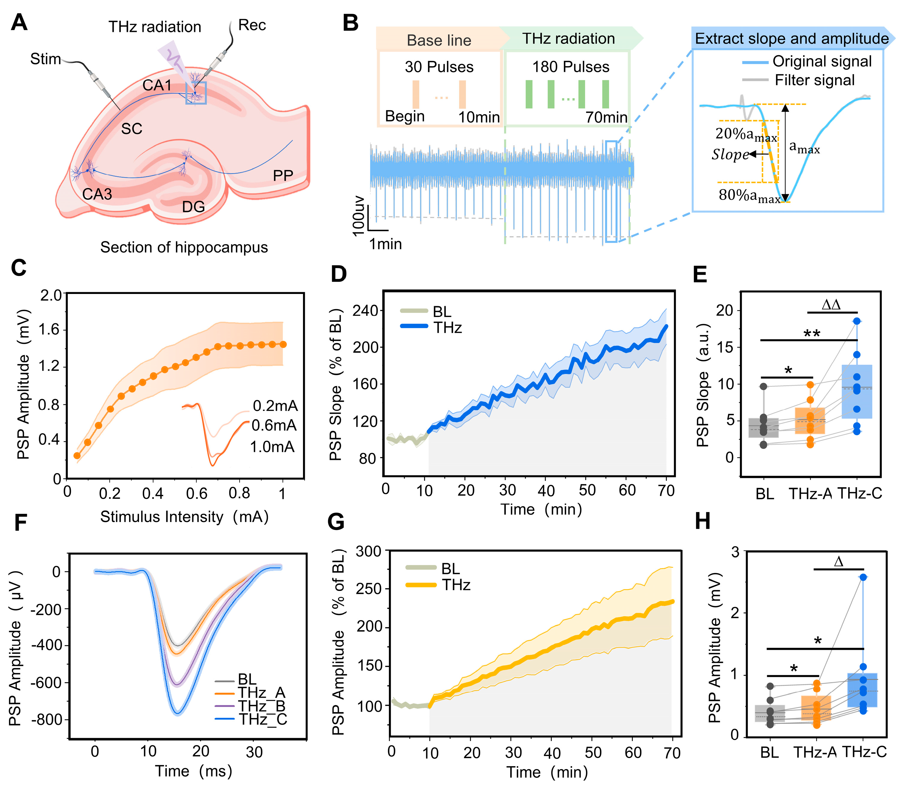 Brainsci 13 00686 g003