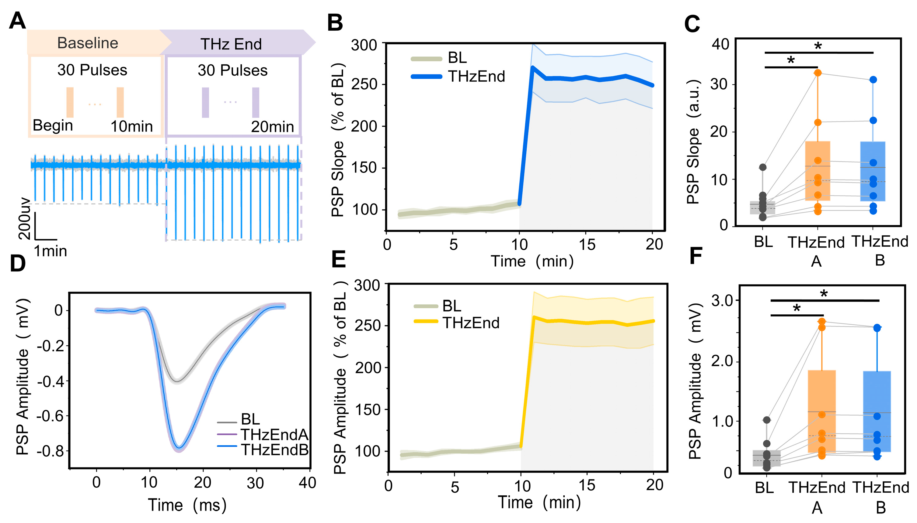 Brainsci 13 00686 g004