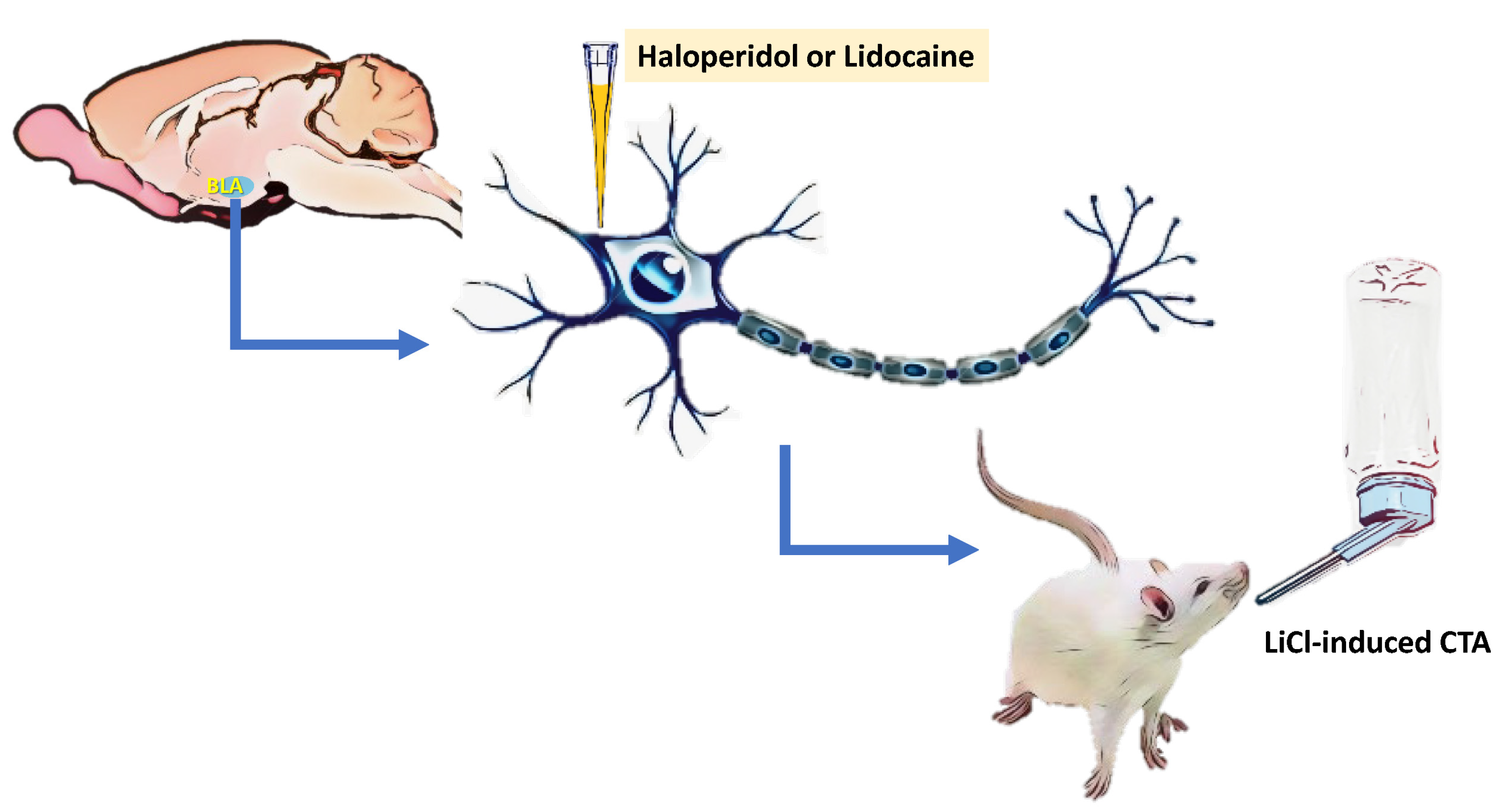 Brainsci 13 00697 g001 Brainsci 13 00697 g001