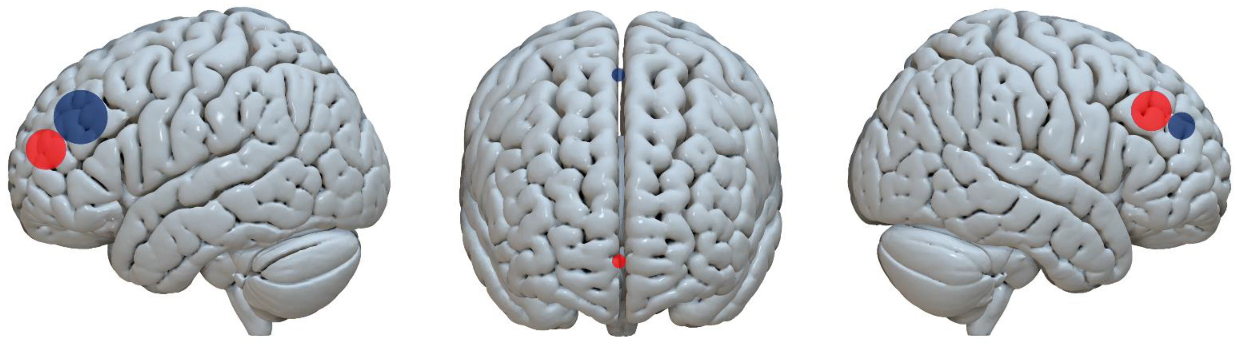 Brainsci 13 00698 g005