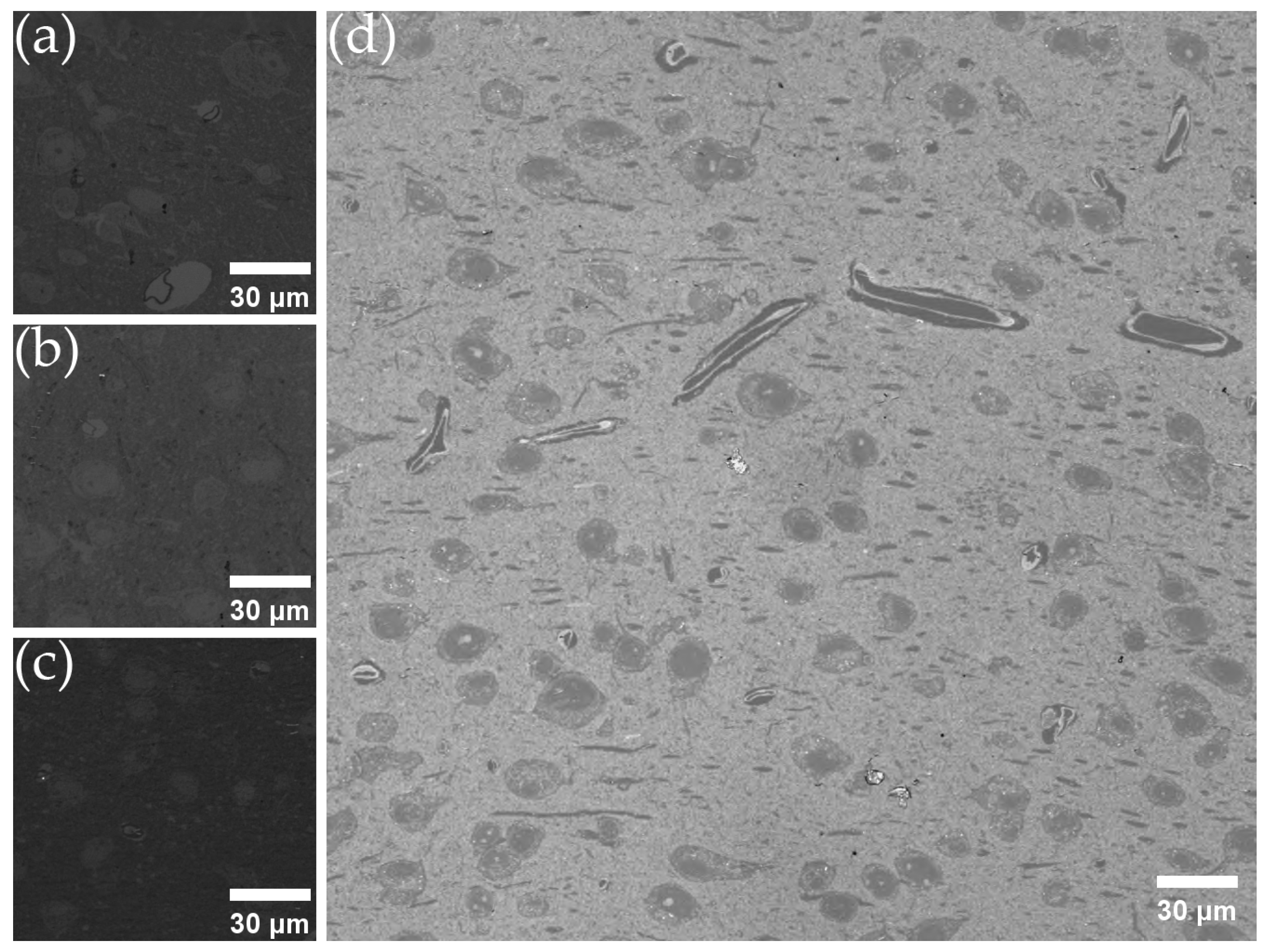 Brainsci 13 00711 g003