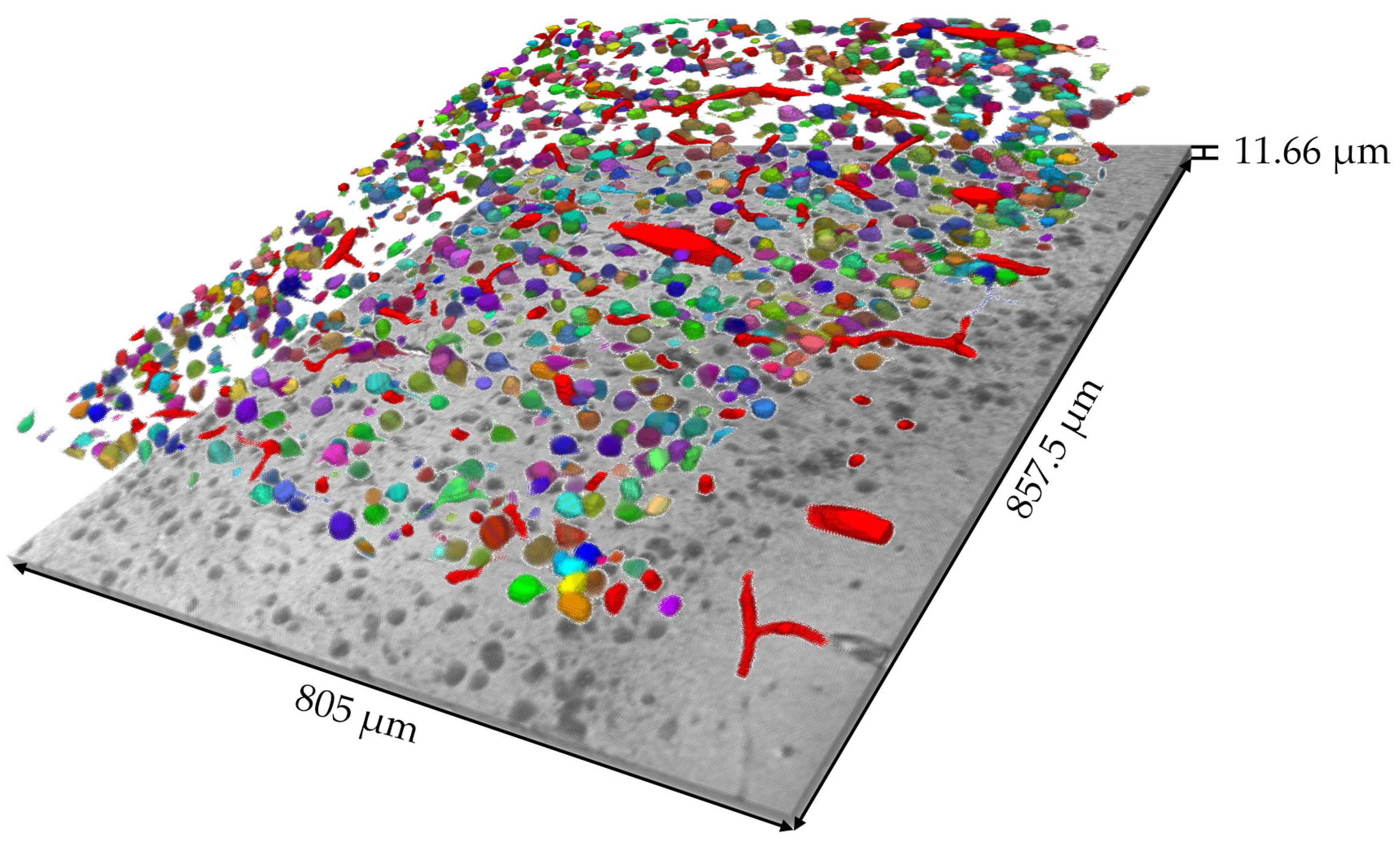 Brainsci 13 00711 g006