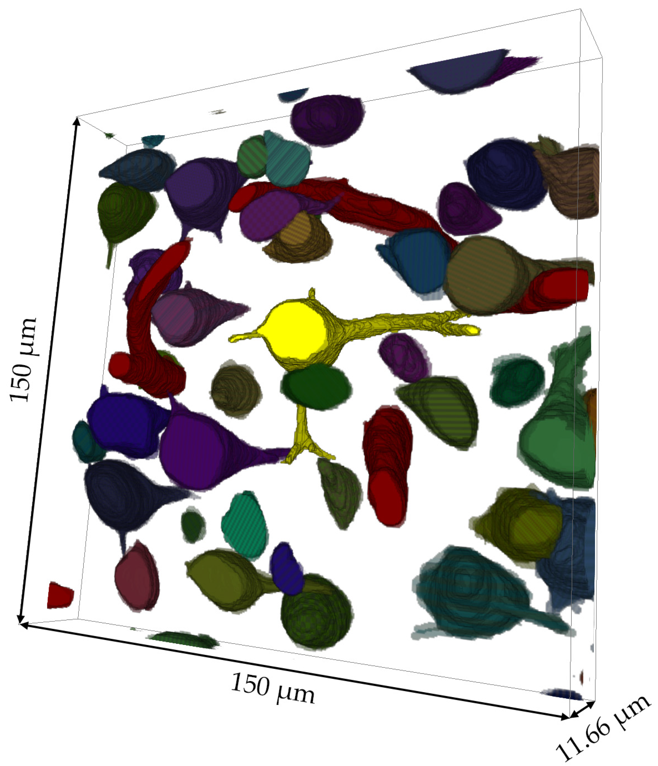 Brainsci 13 00711 g007