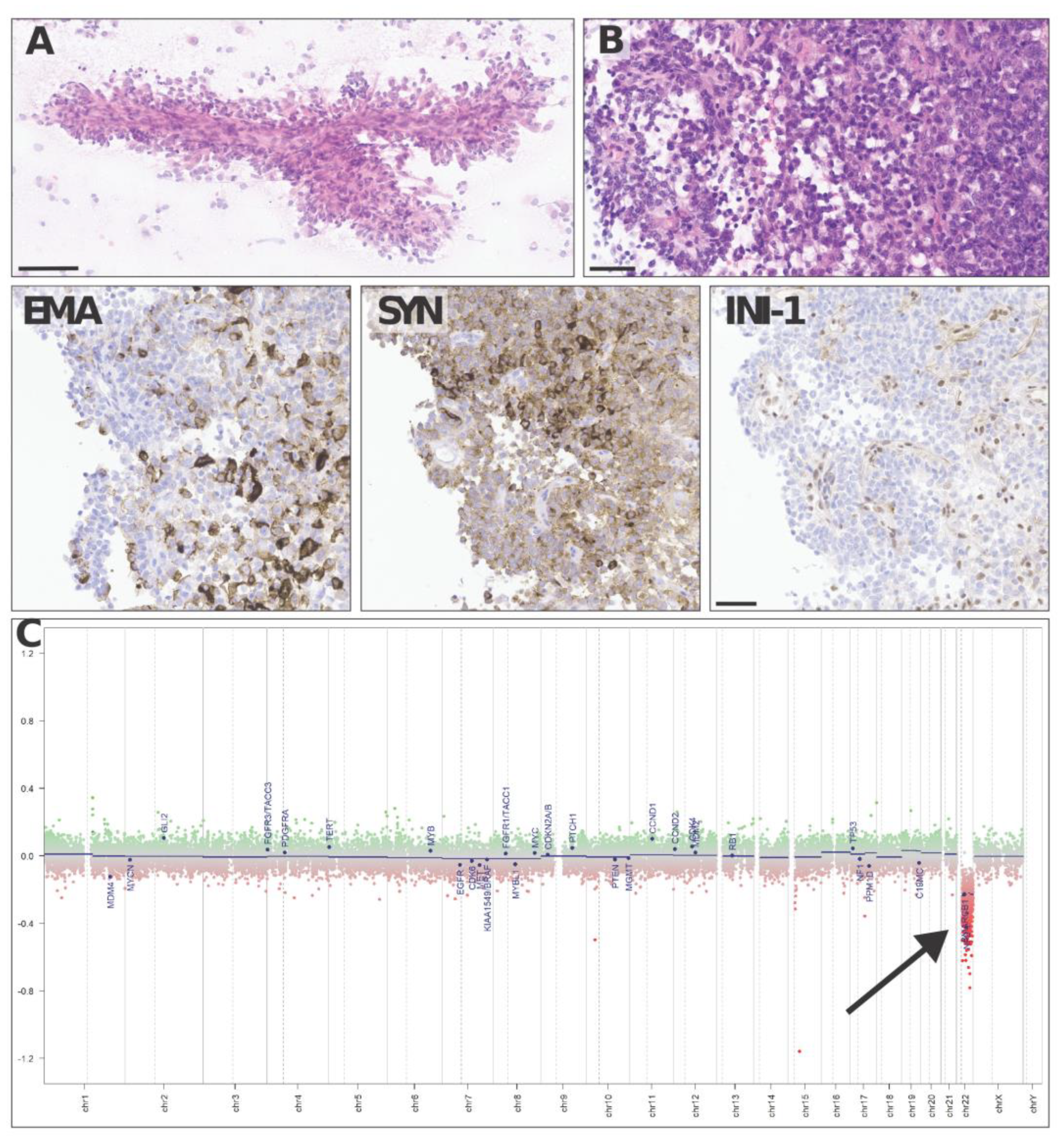 Brainsci 13 00712 g004