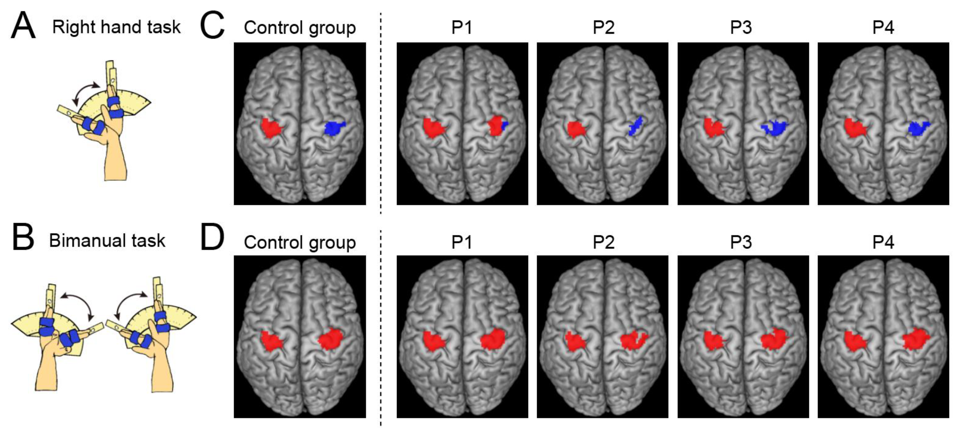 Brainsci 13 00715 g001
