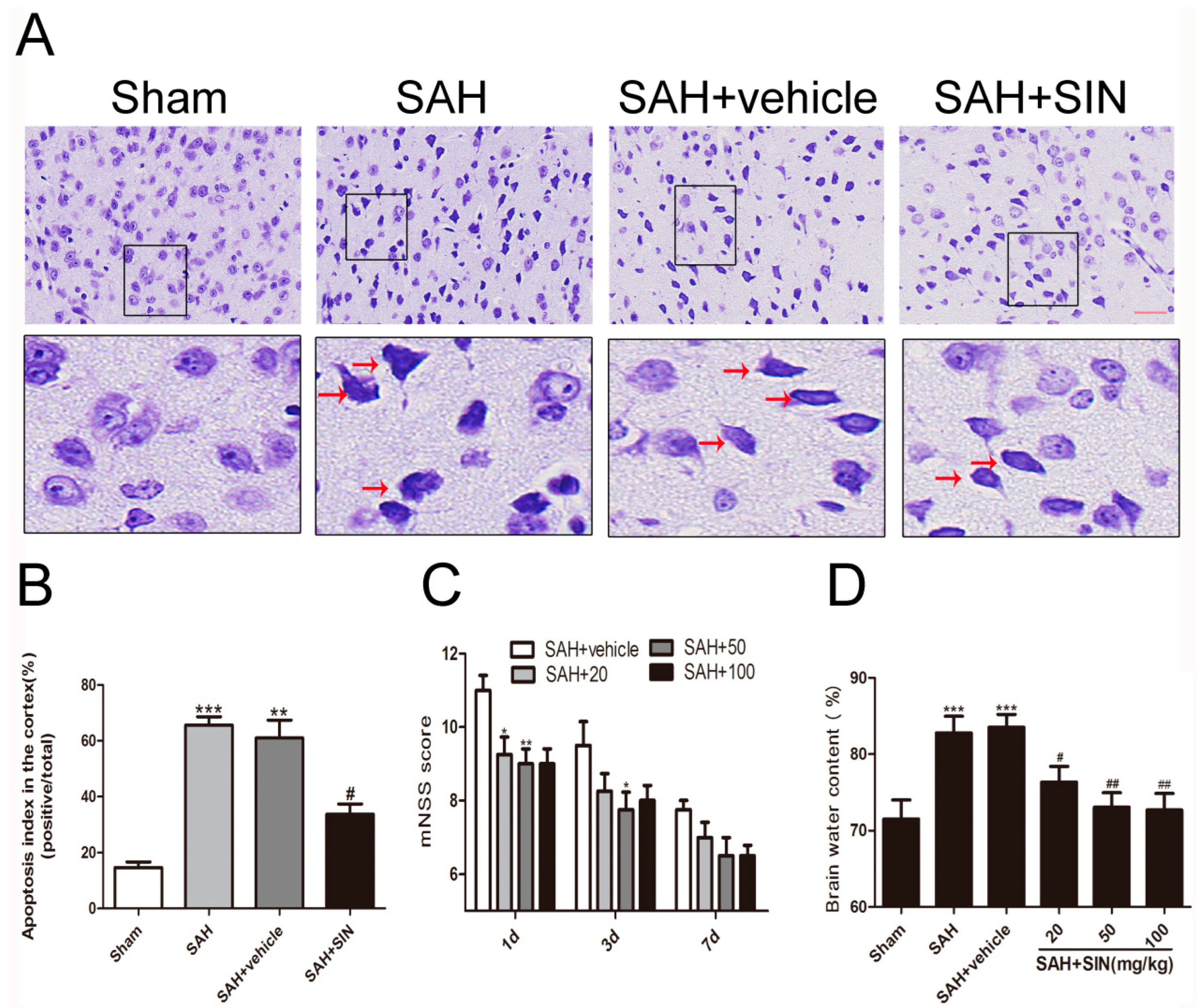 Brainsci 13 00716 g001