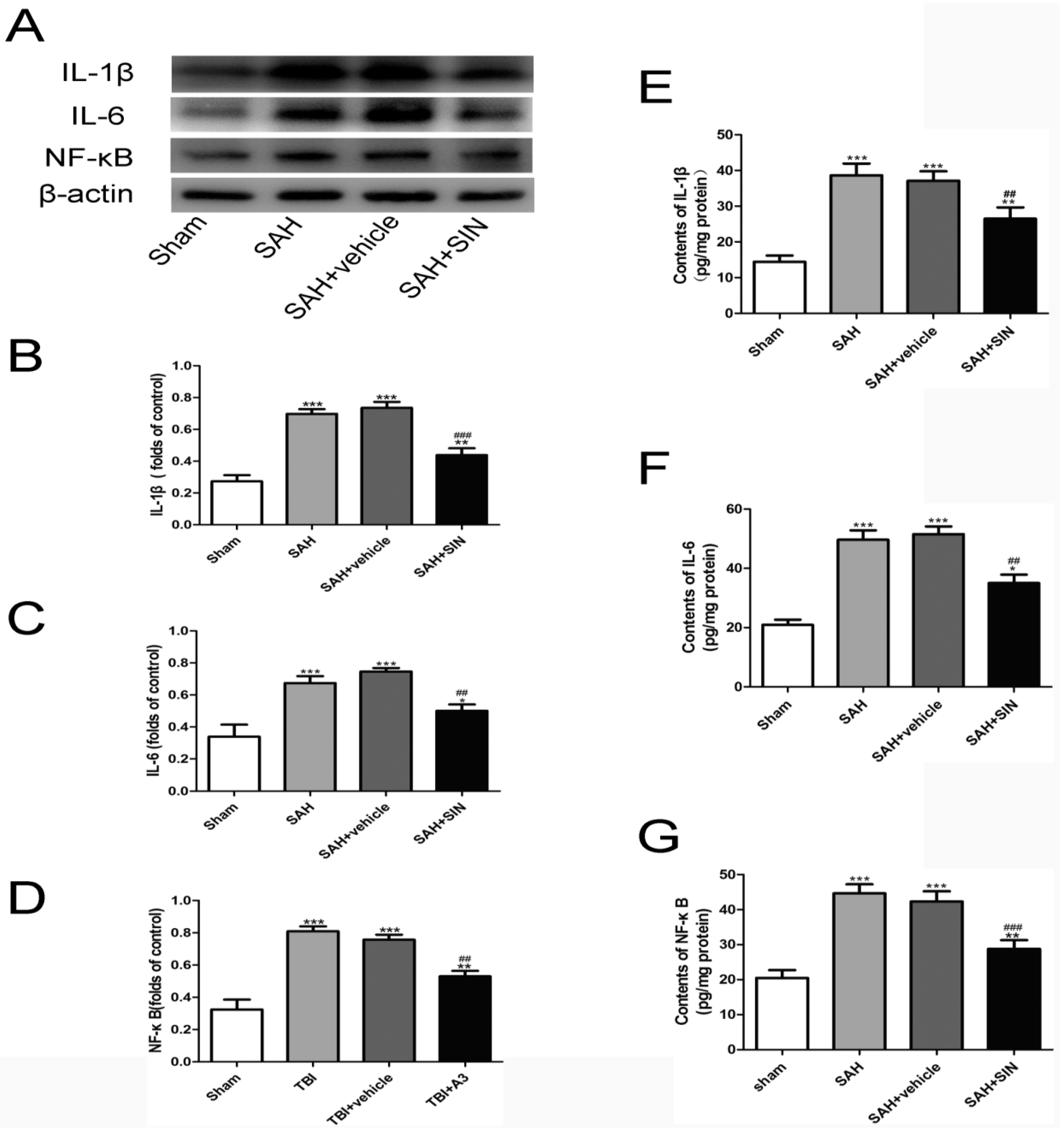 Brainsci 13 00716 g004