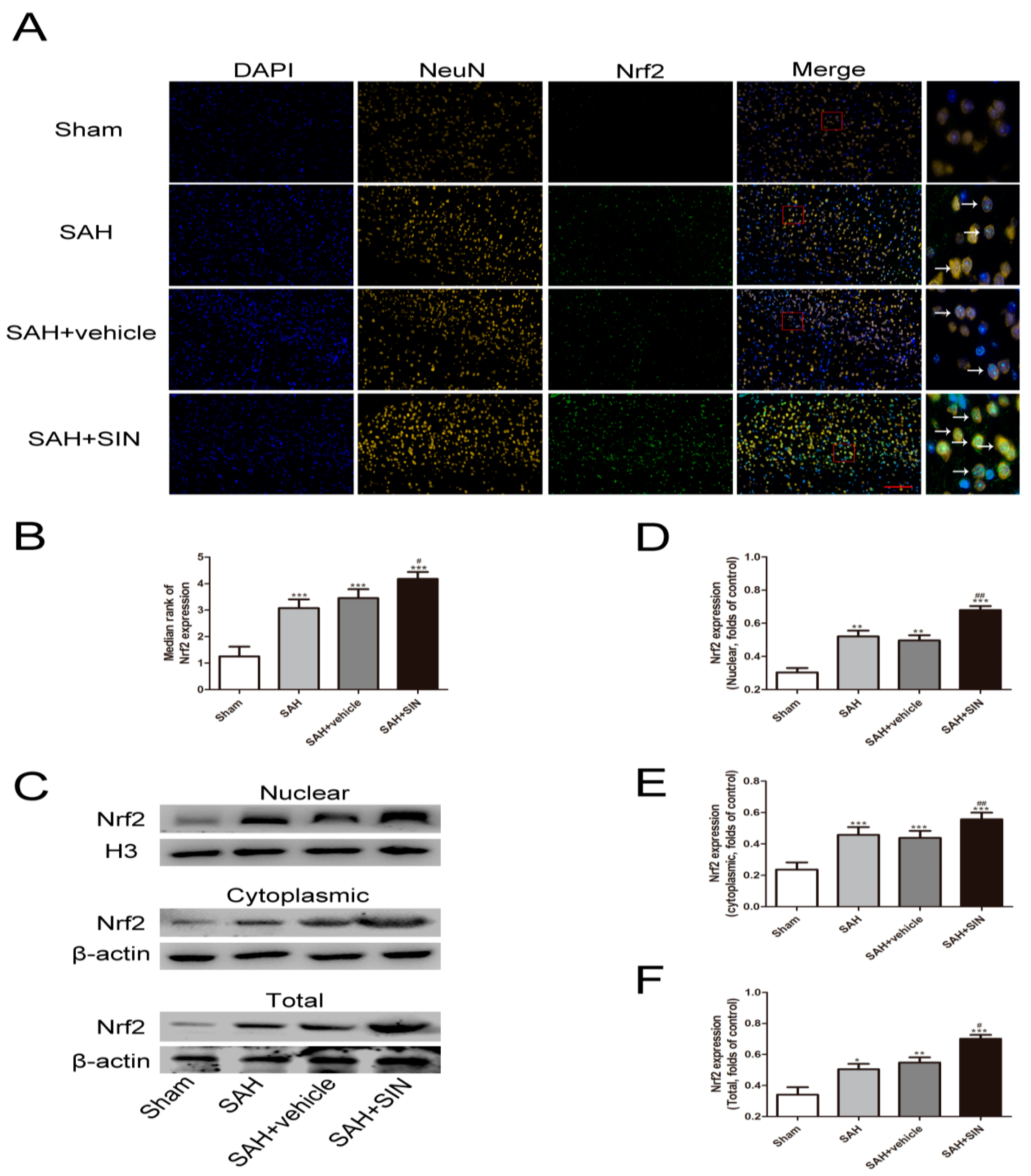 Brainsci 13 00716 g005