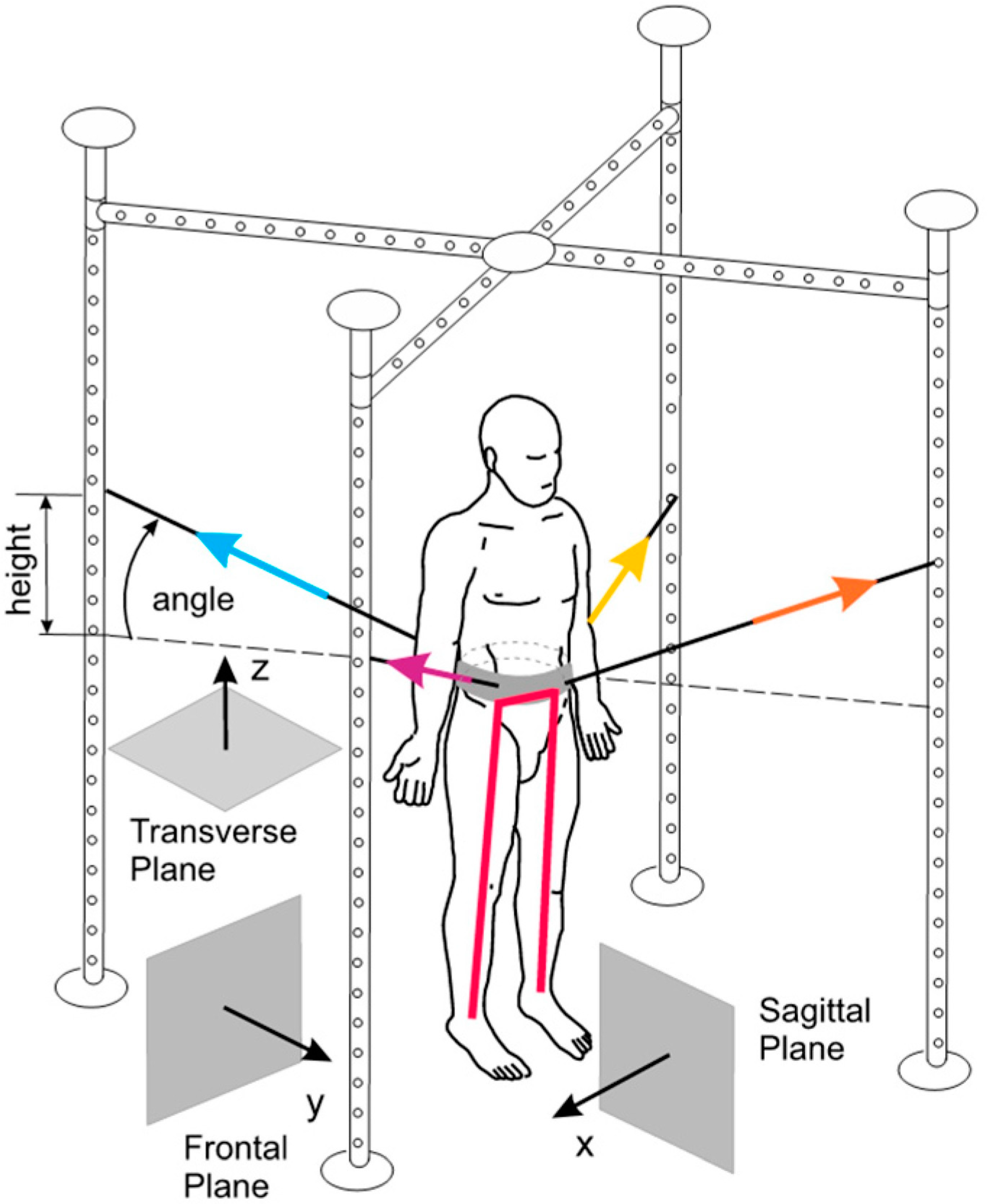 Brainsci 13 00717 g006