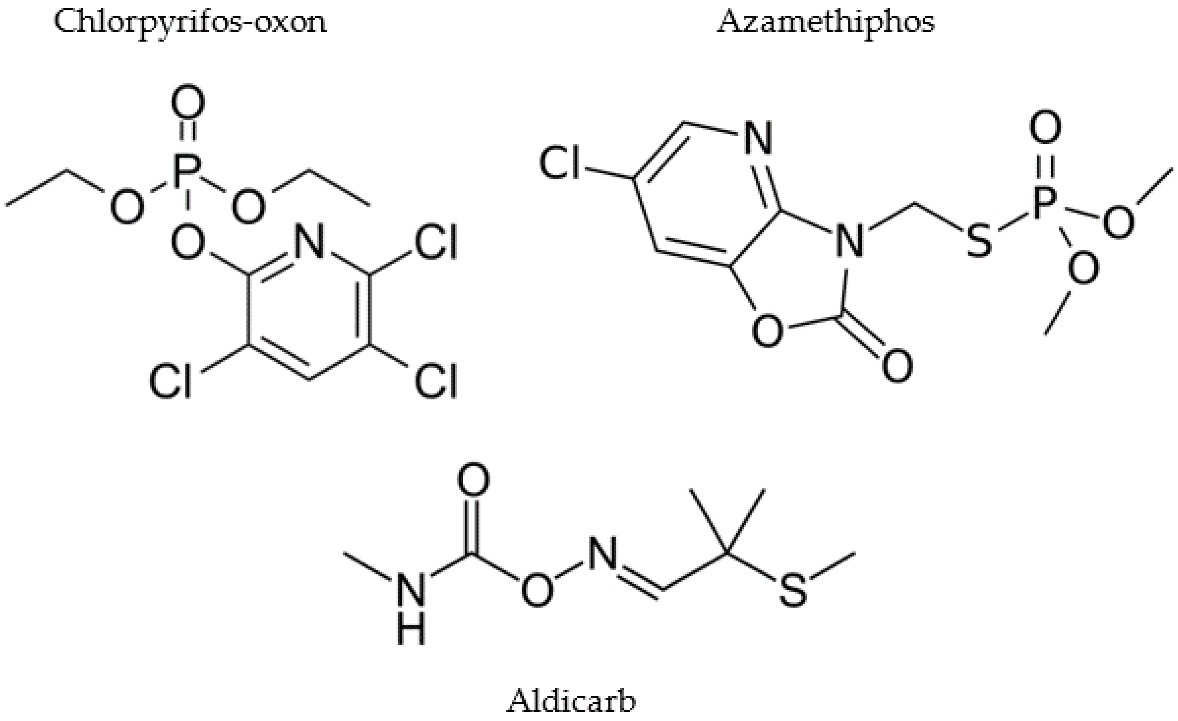 Brainsci 13 00728 g001