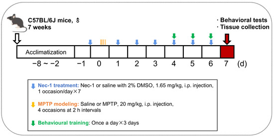 Brainsci 13 00733 g001