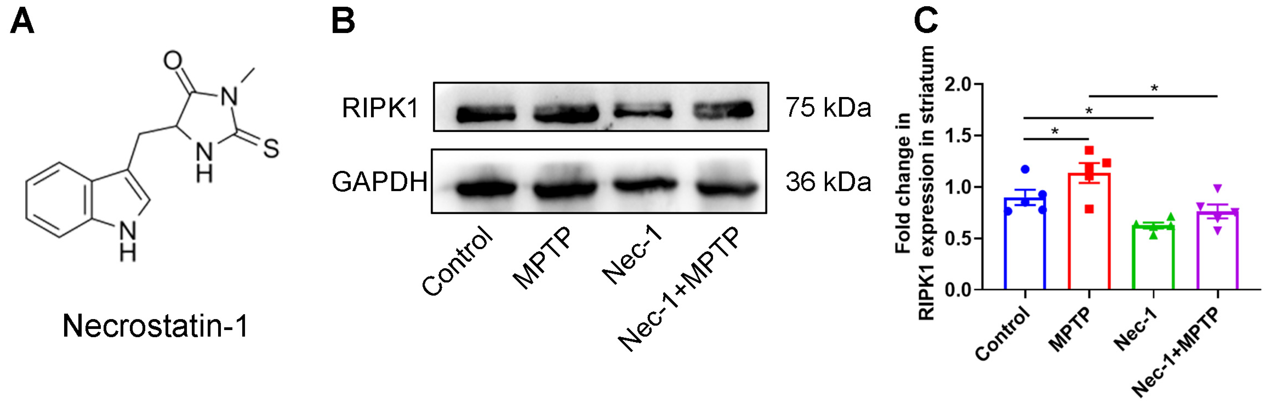 Brainsci 13 00733 g002
