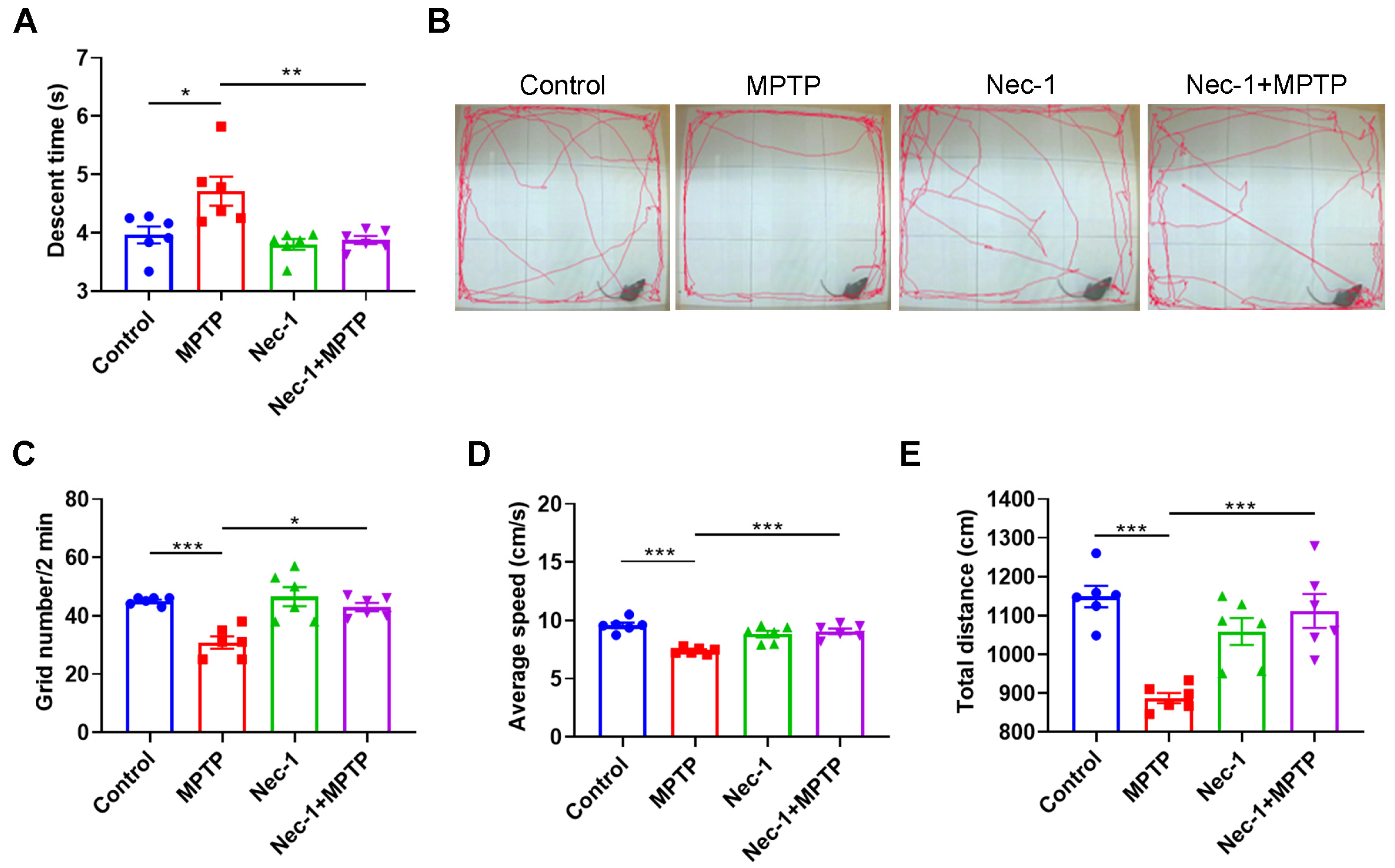 Brainsci 13 00733 g003