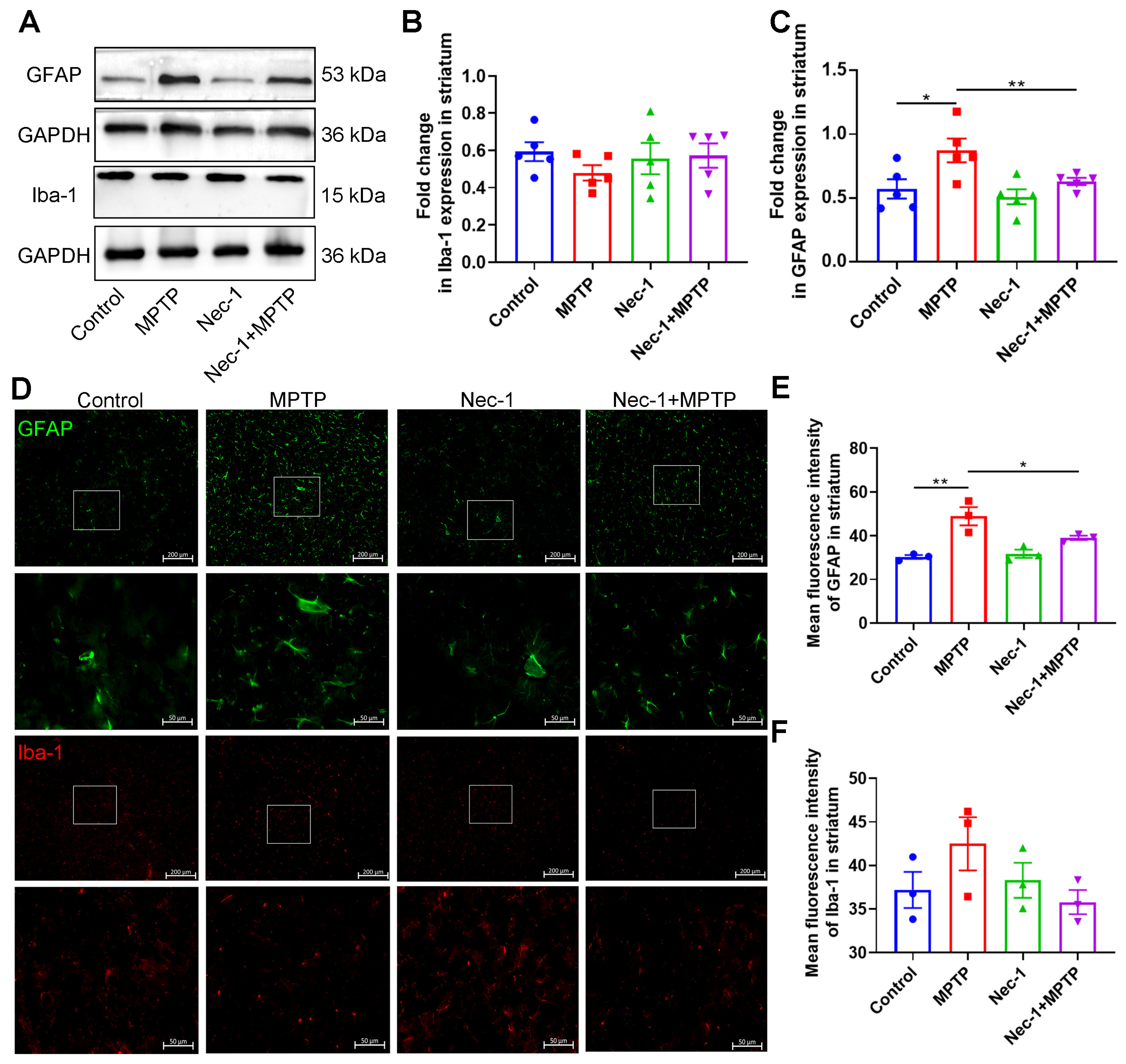 Brainsci 13 00733 g005
