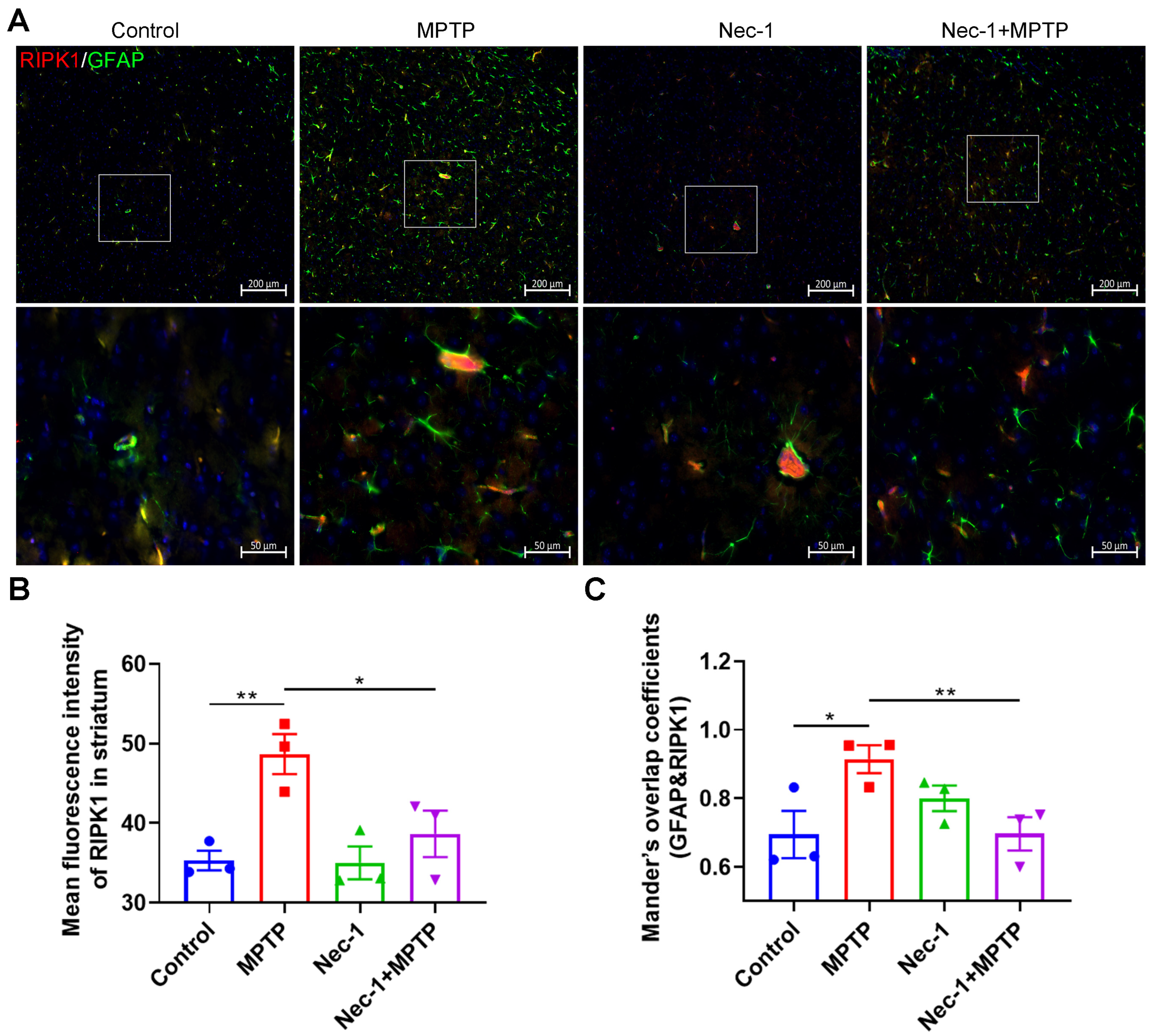 Brainsci 13 00733 g006