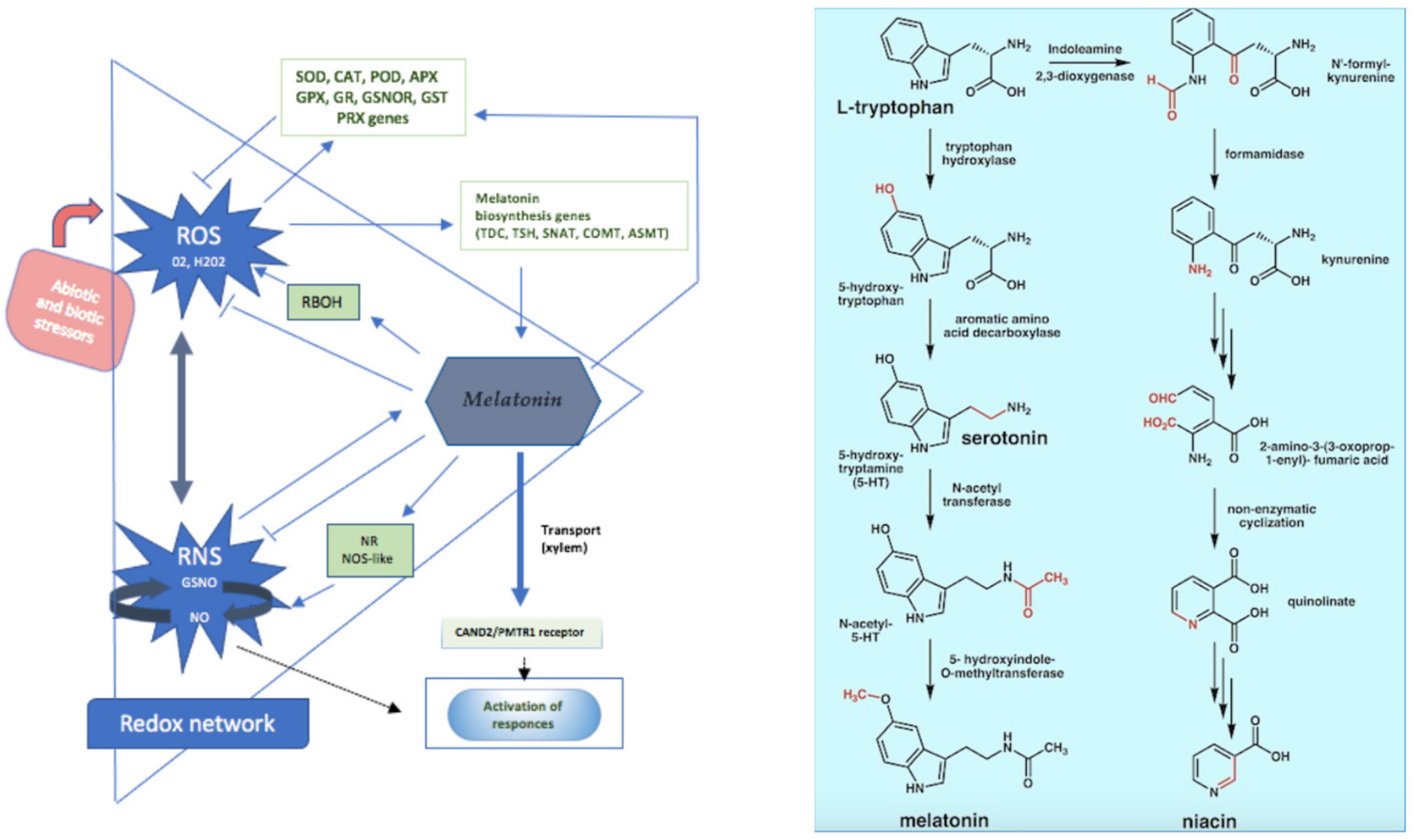 Brainsci 13 00734 g002