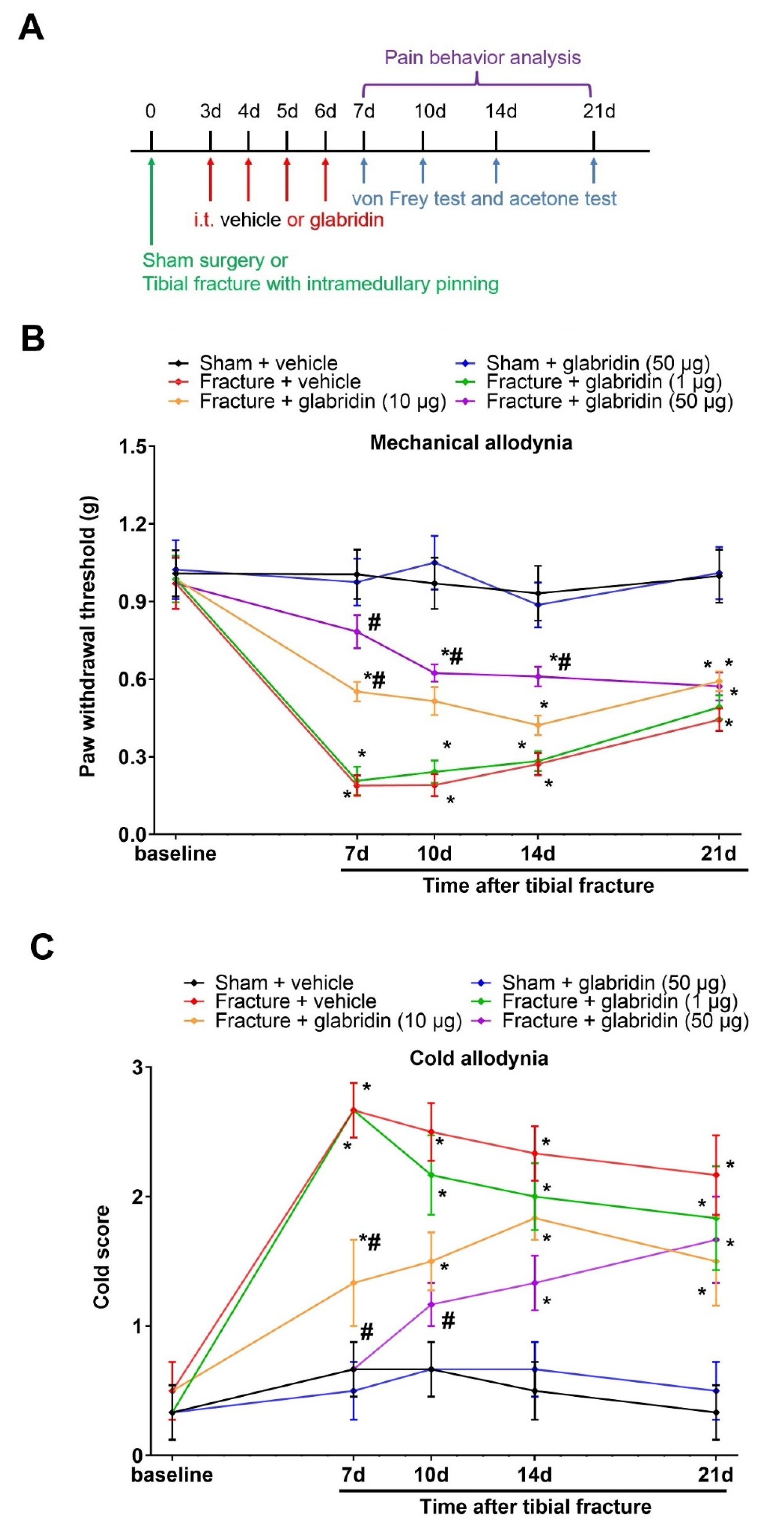 Brainsci 13 00739 g001