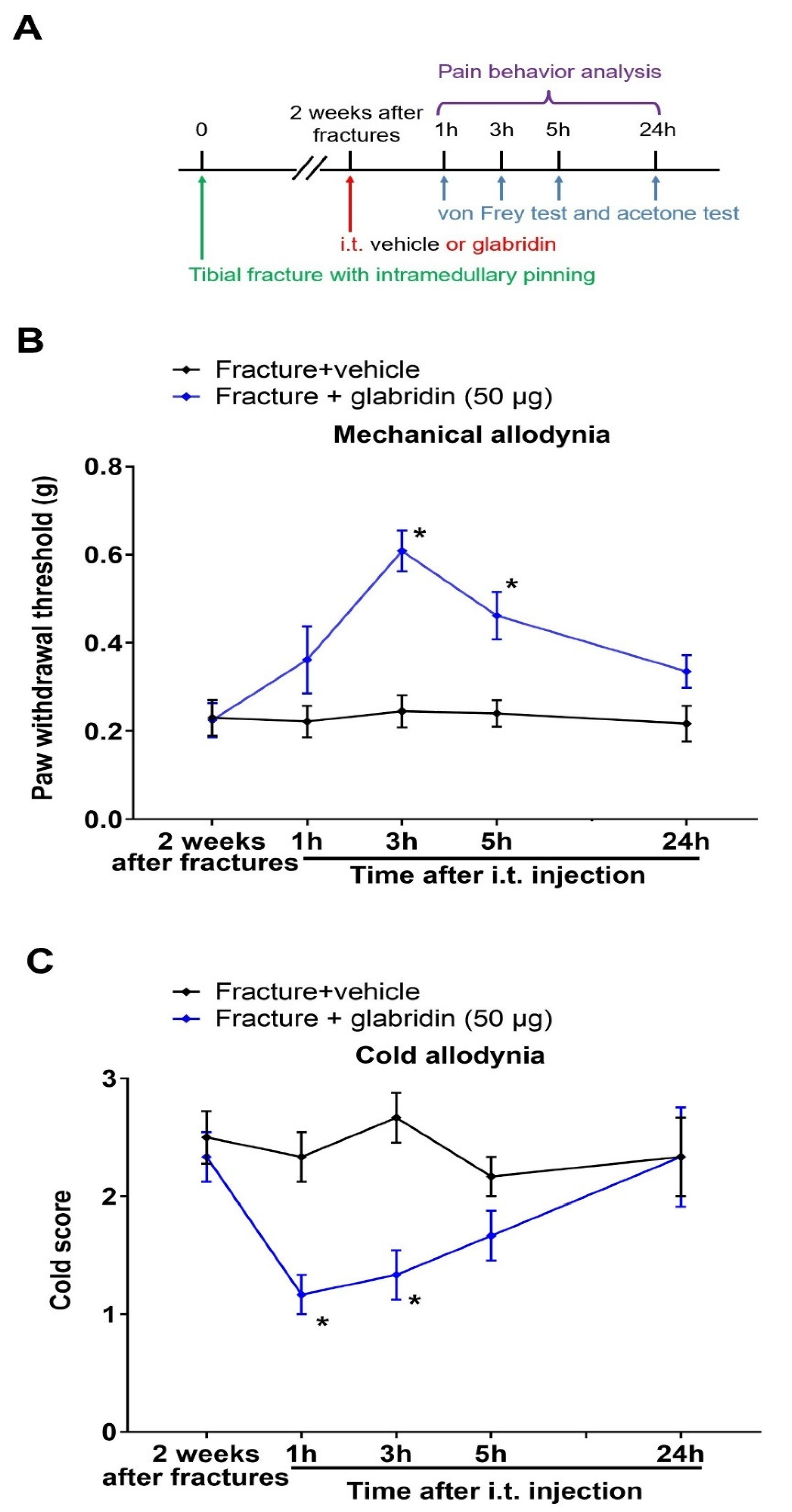 Brainsci 13 00739 g003